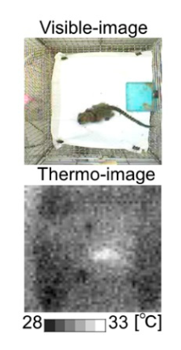 Ijerph 17 06844 g001