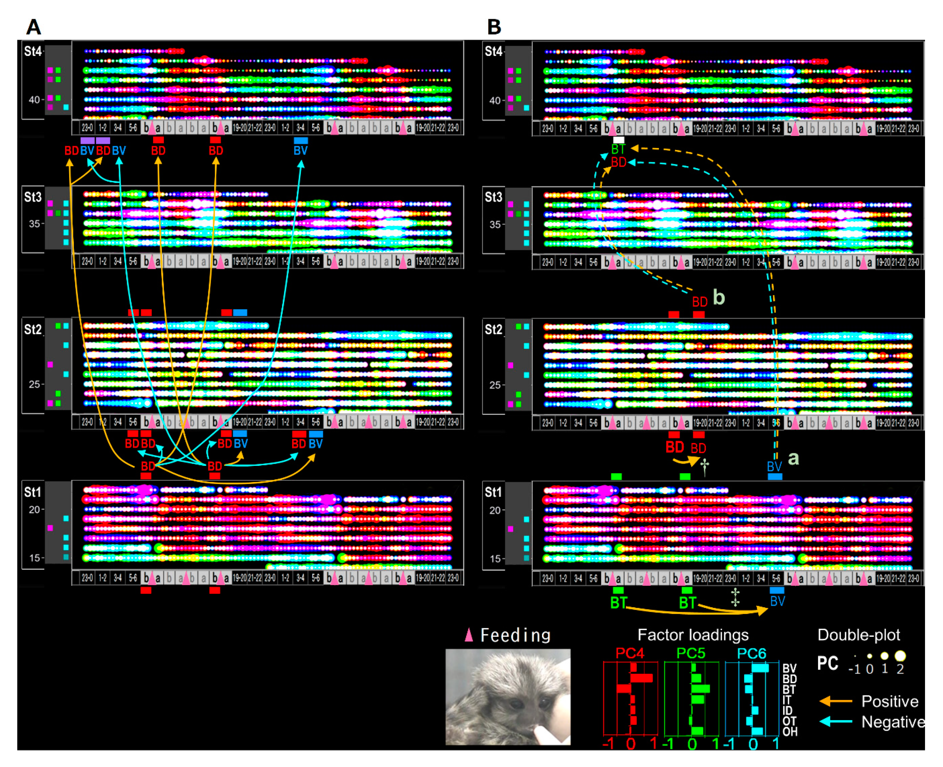 Ijerph 17 06844 g013