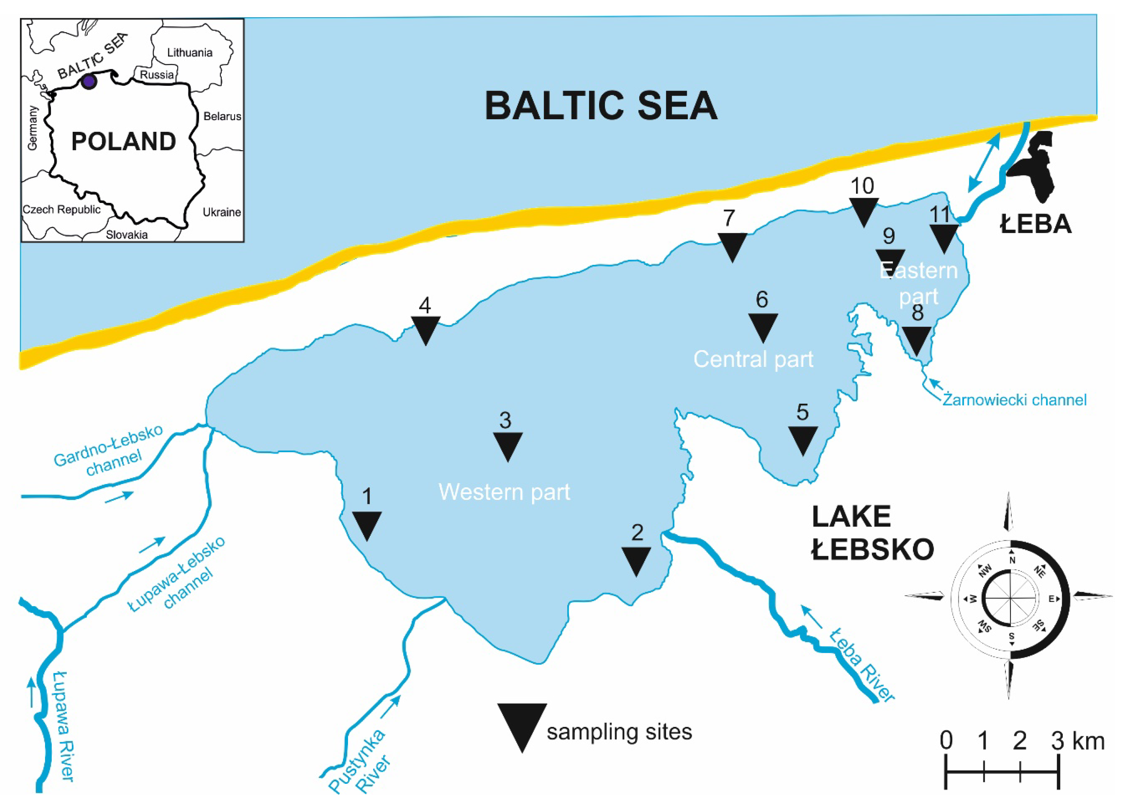 Ijerph 17 06848 g001 Ijerph 17 06848 g001