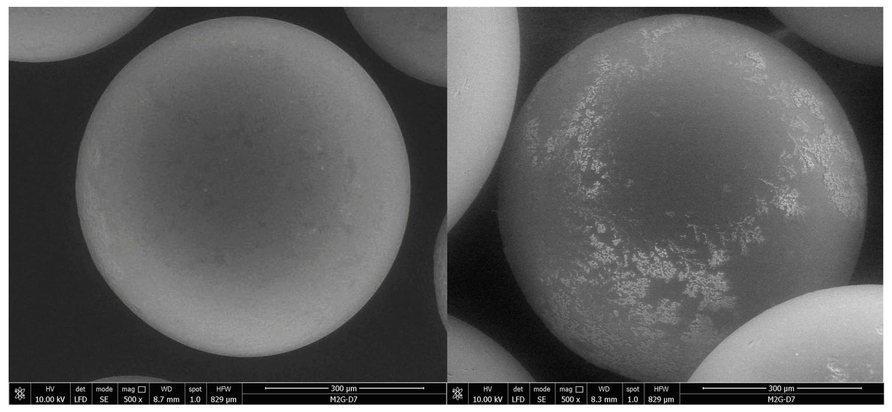 Ijerph 17 06868 g002