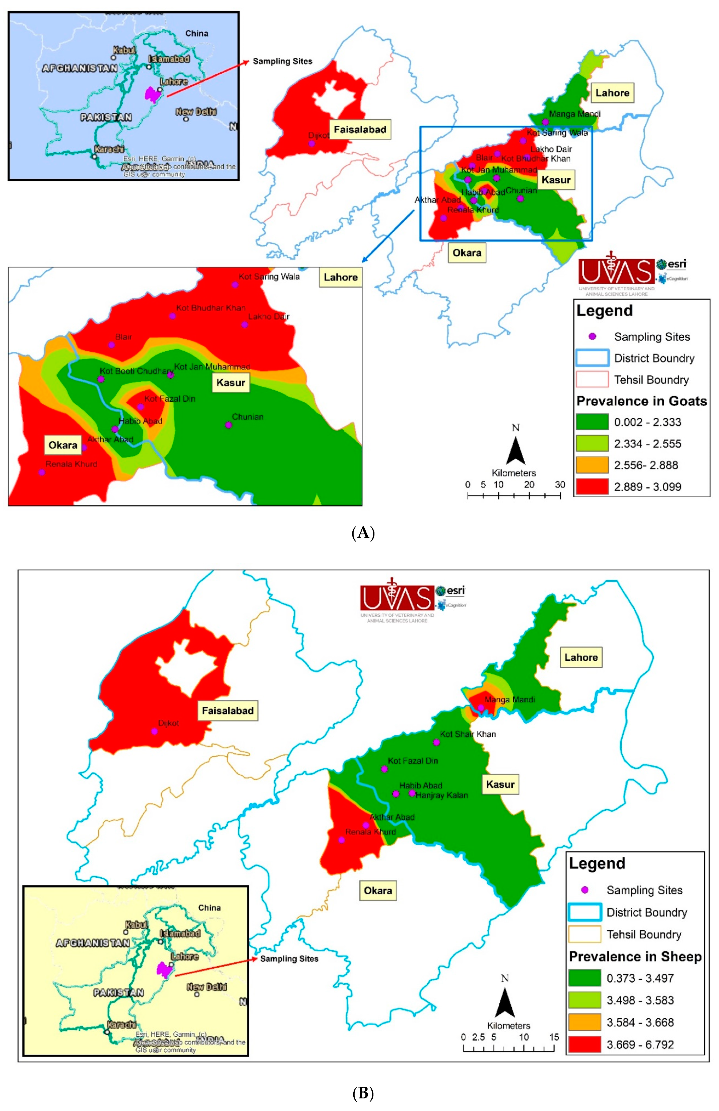 Ijerph 17 06903 g001a