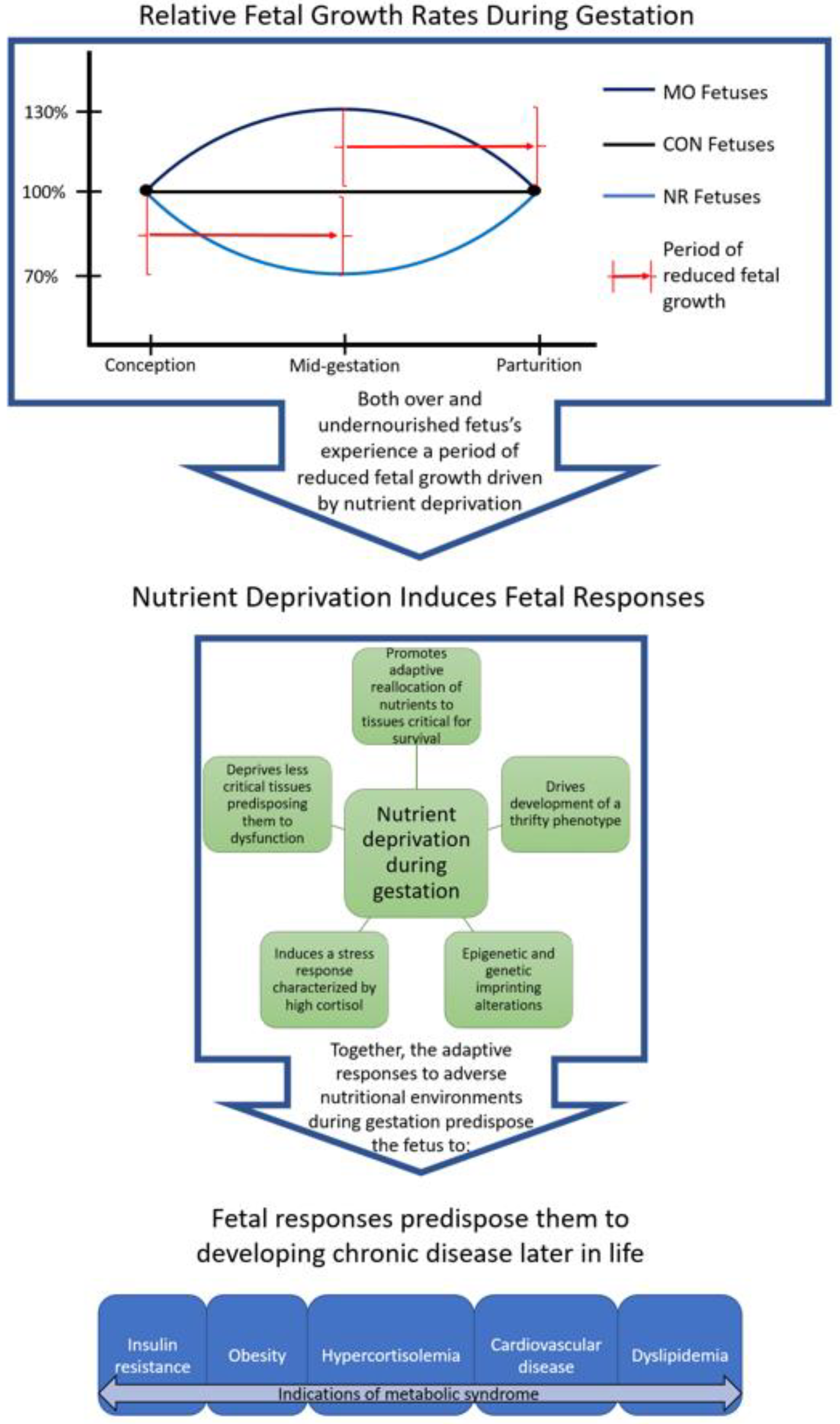 Ijerph 17 06926 g002 Ijerph 17 06926 g002