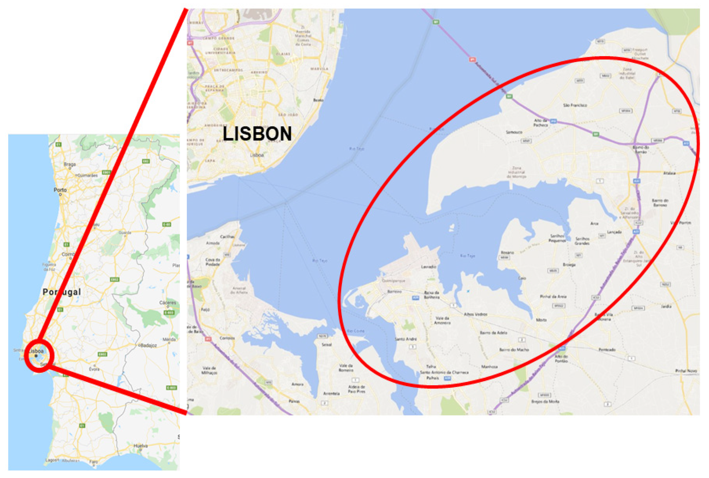 Ijerph 17 06929 g001