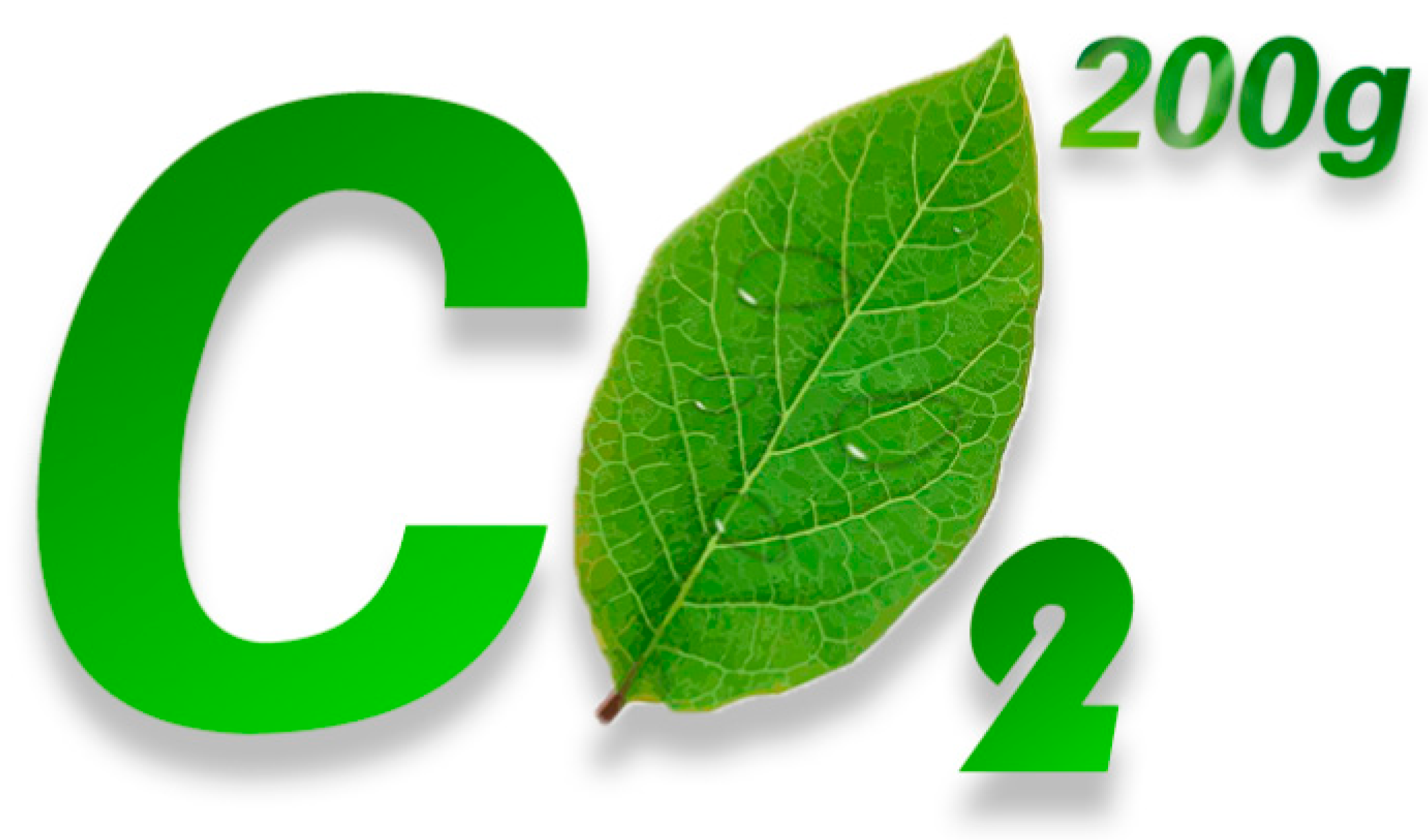 Ijerph 17 07026 g003