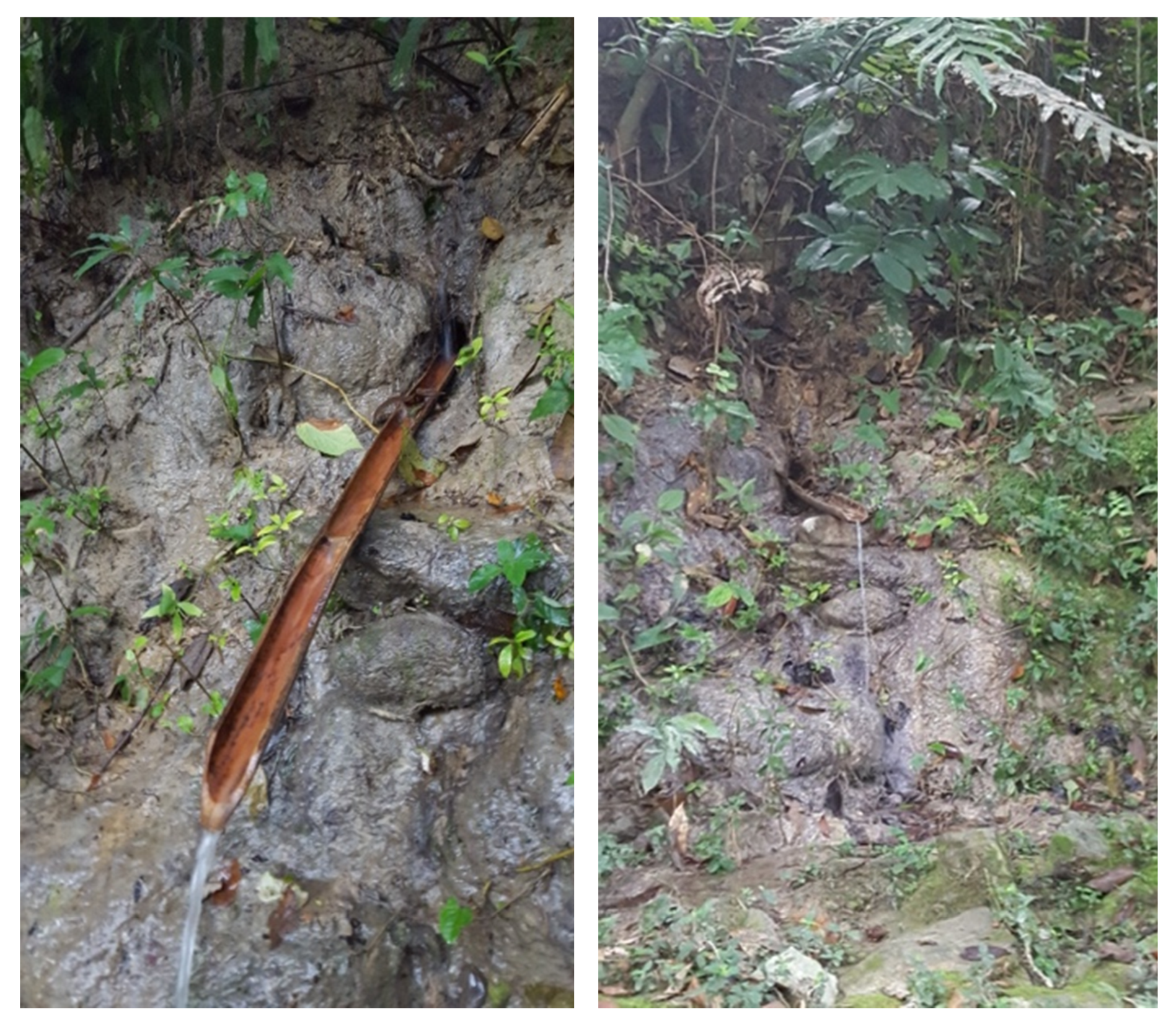 Ijerph 17 07102 g004 Ijerph 17 07102 g004