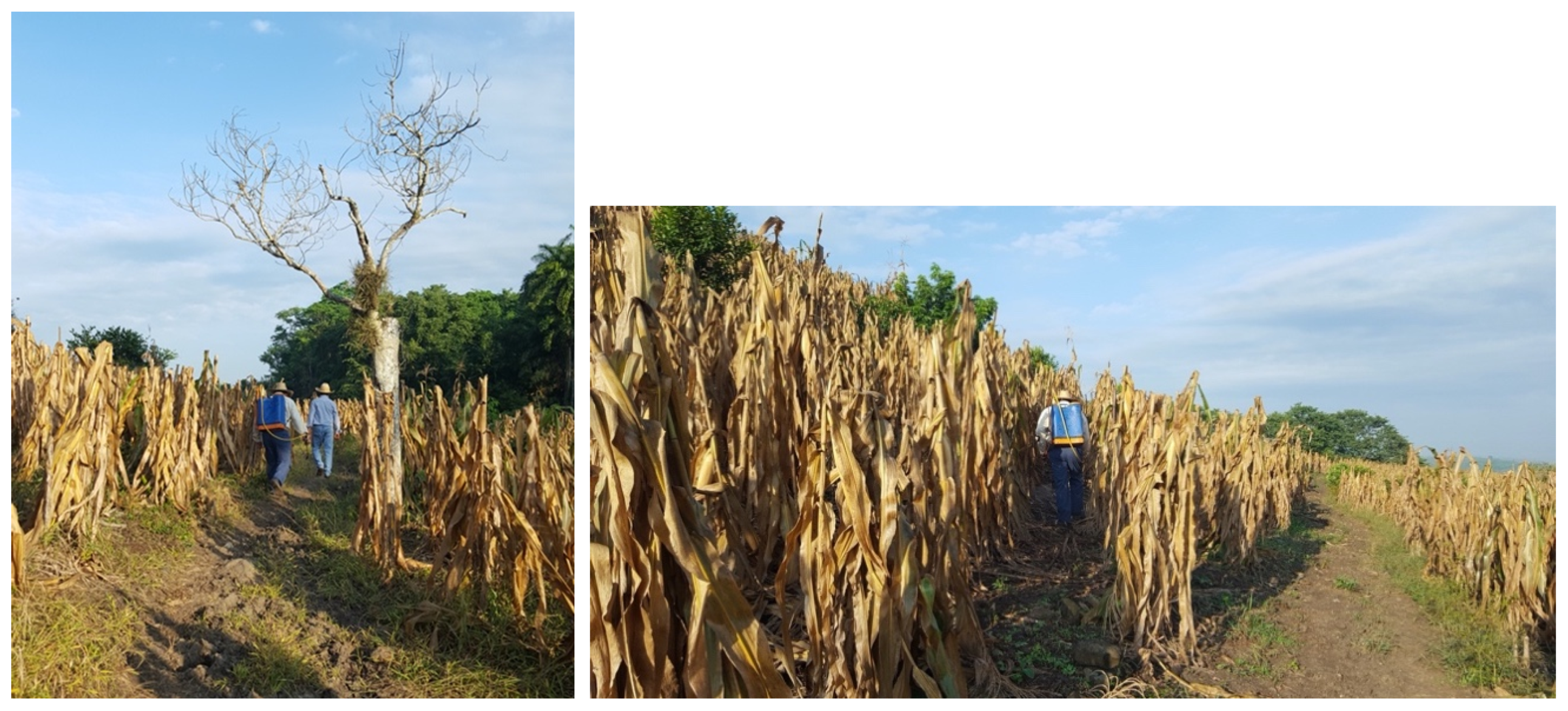 Ijerph 17 07102 g006 Ijerph 17 07102 g006