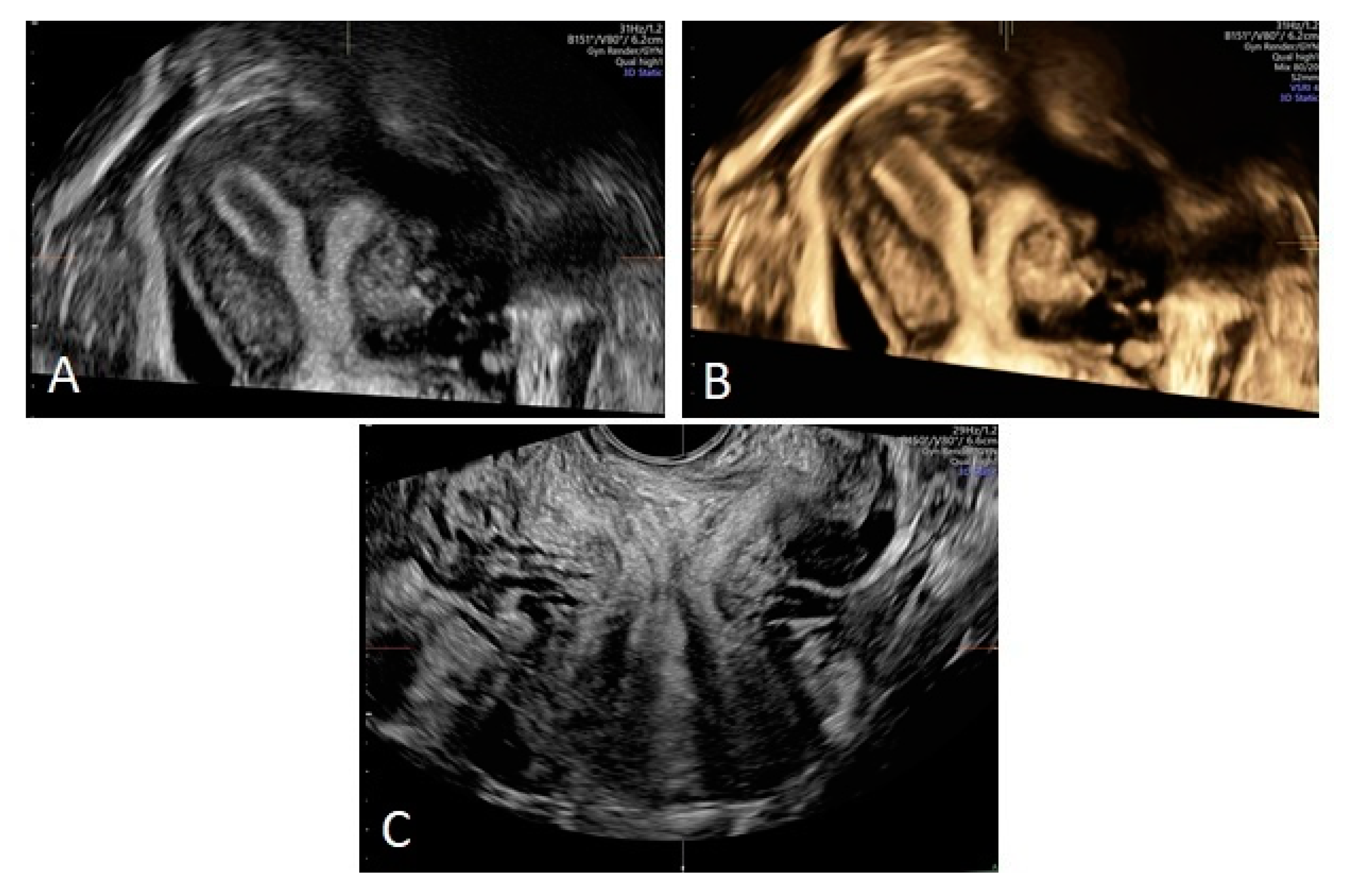 Ijerph 17 07173 g004 Ijerph 17 07173 g004