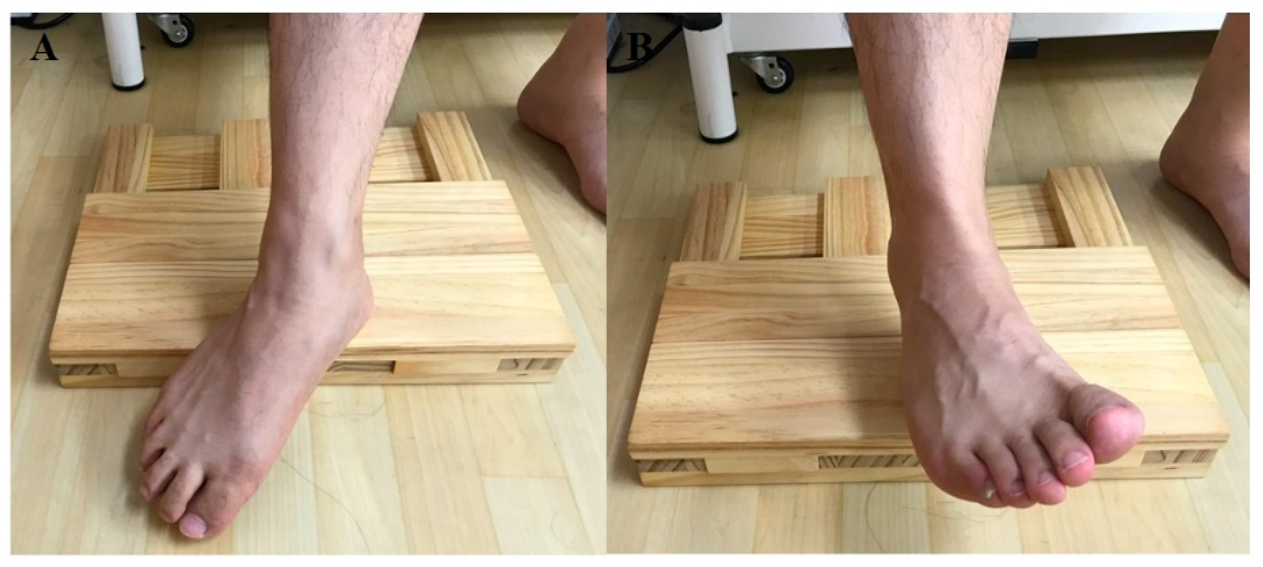 IJERPH | Free Full-Text | Comparison of the Intrinsic Foot Muscle