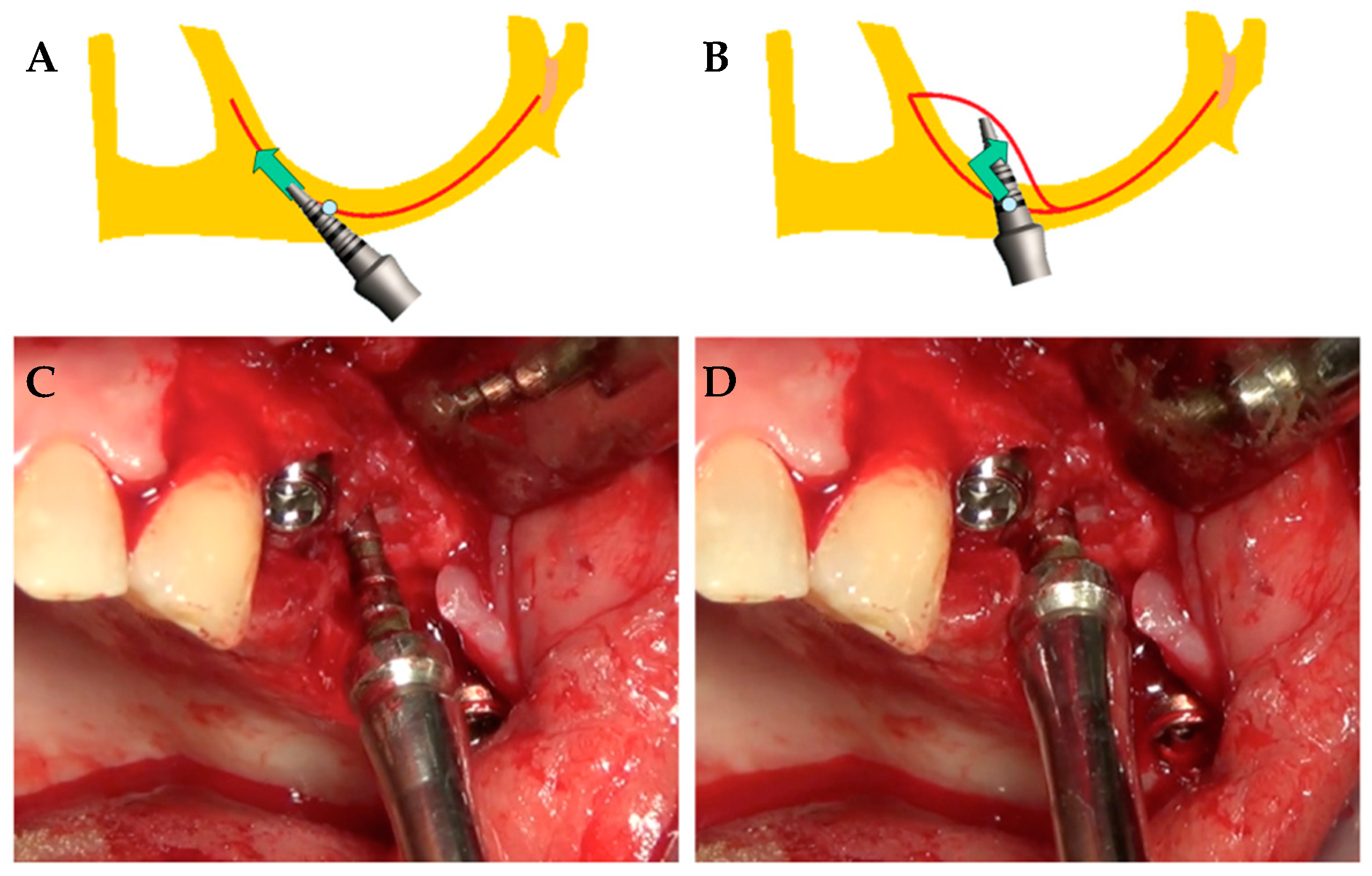 Ijerph 17 07199 g001