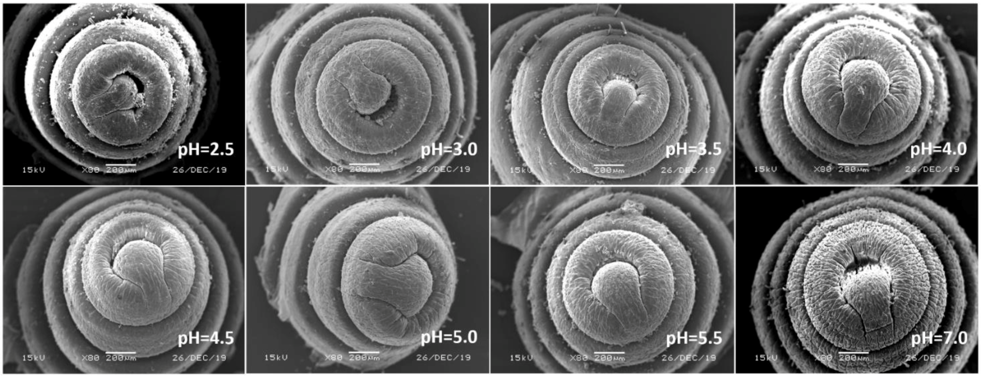 Ijerph 17 07246 g005 Ijerph 17 07246 g005