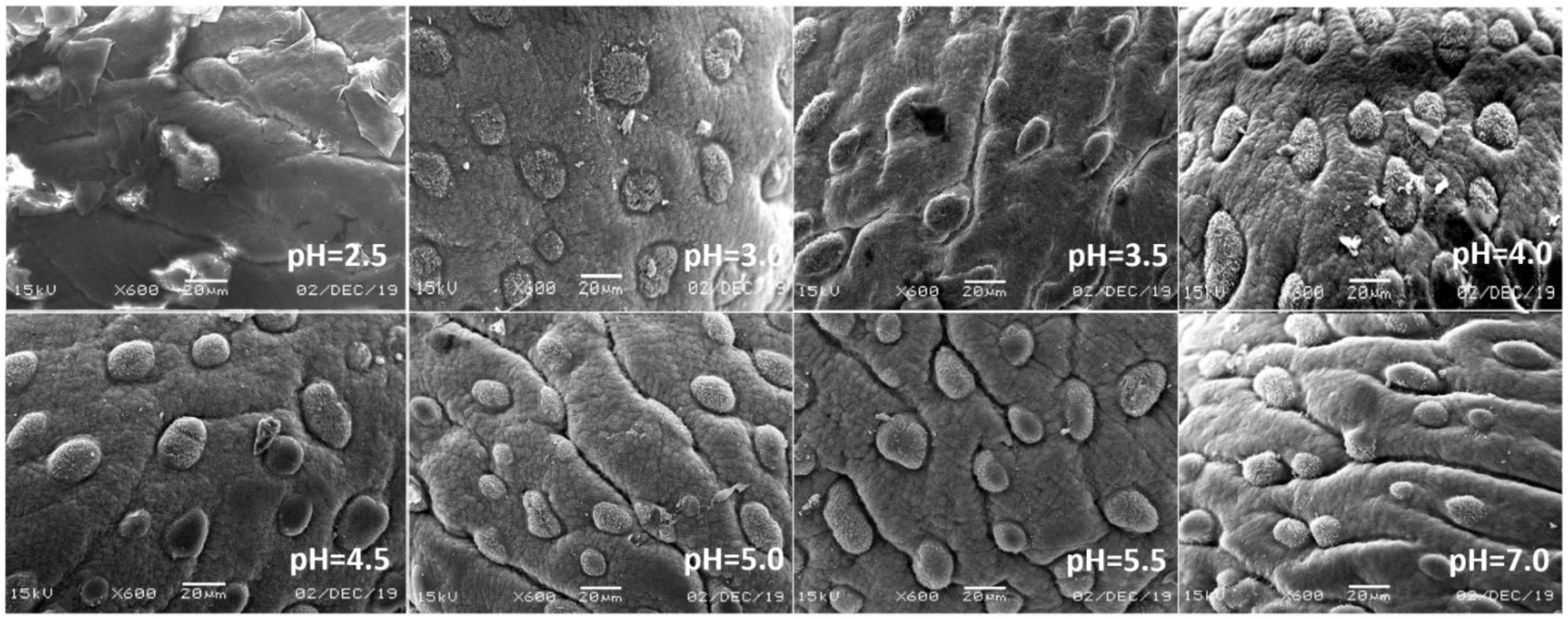 Ijerph 17 07246 g006 Ijerph 17 07246 g006