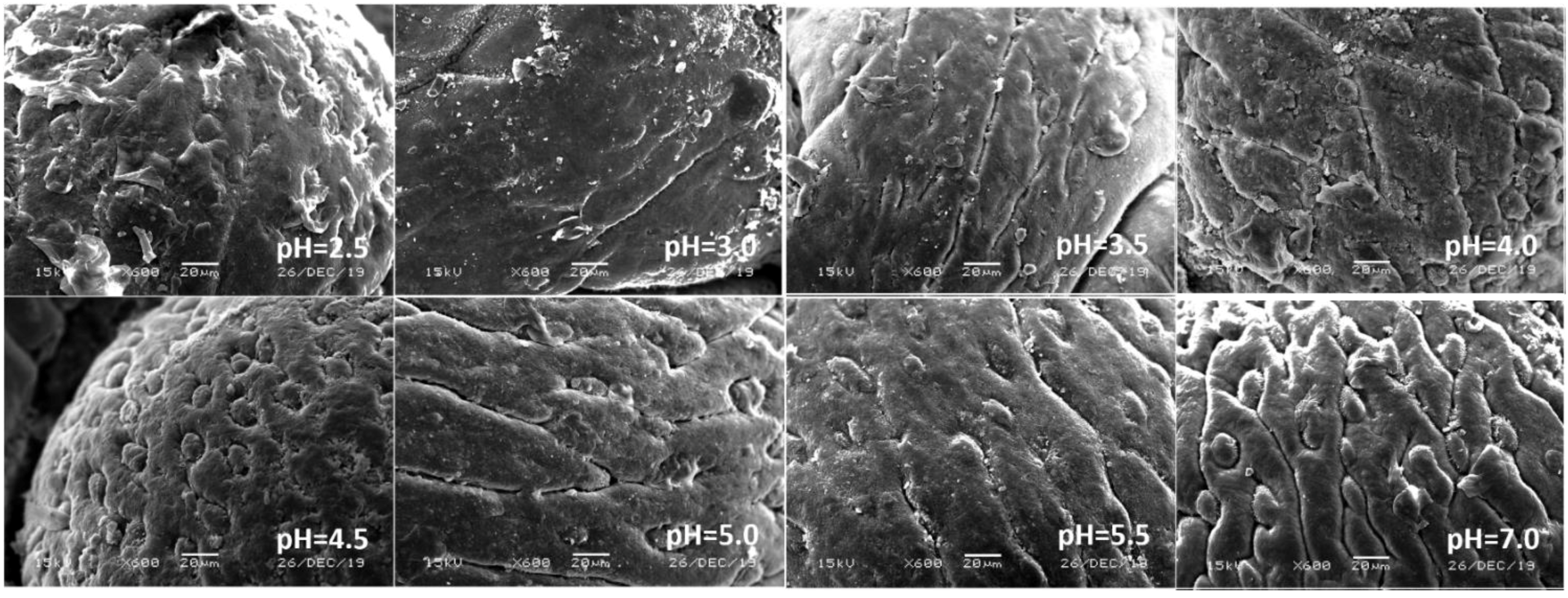Ijerph 17 07246 g007 Ijerph 17 07246 g007