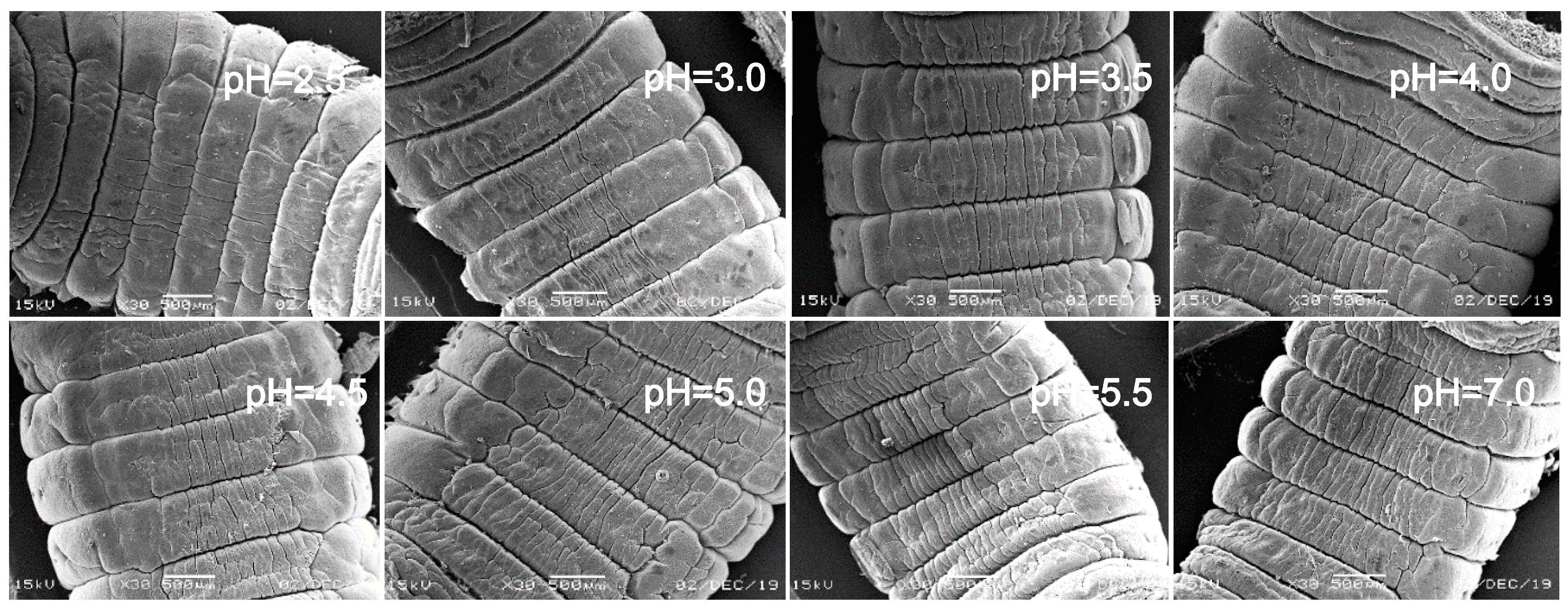 Ijerph 17 07246 g008 Ijerph 17 07246 g008
