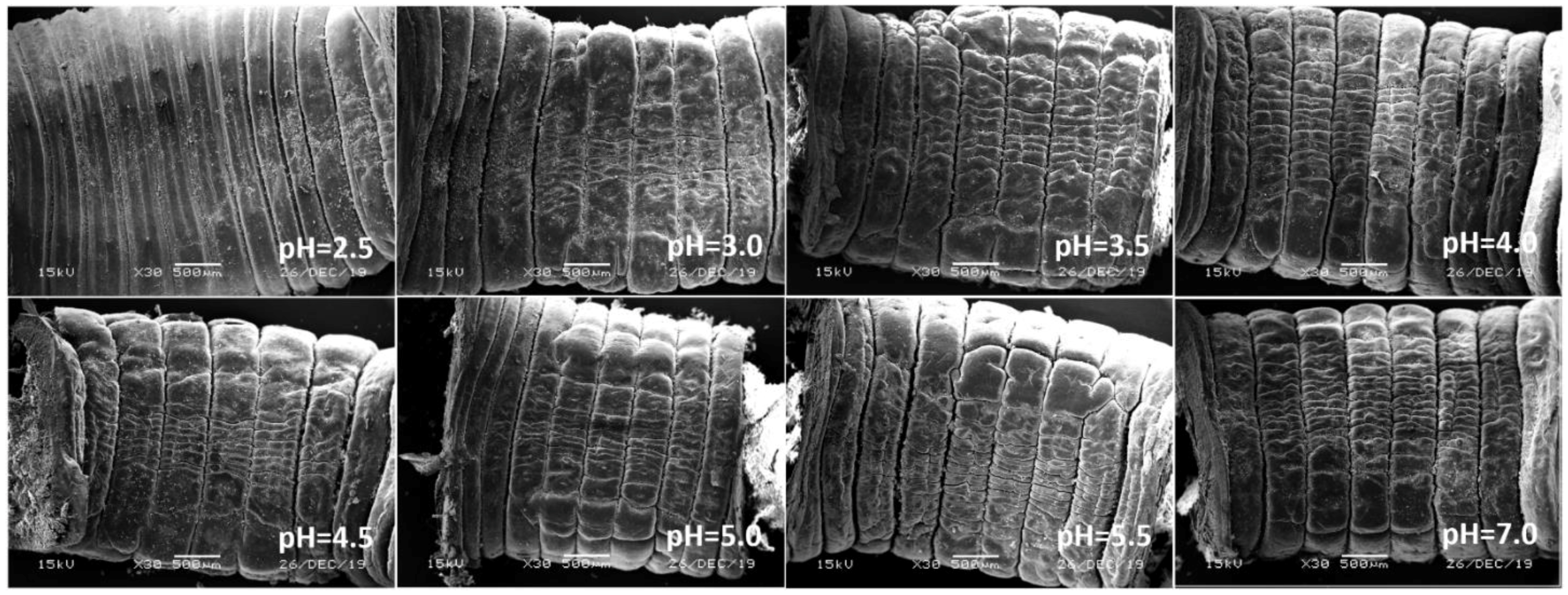 Ijerph 17 07246 g009 Ijerph 17 07246 g009