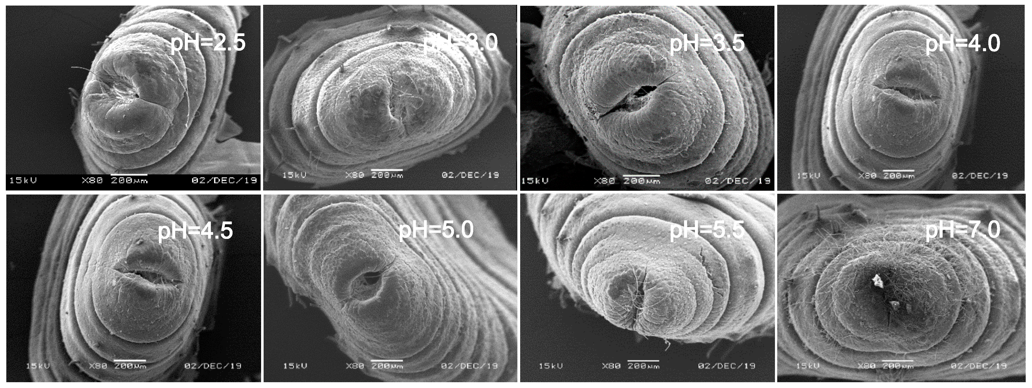 Ijerph 17 07246 g010 Ijerph 17 07246 g010