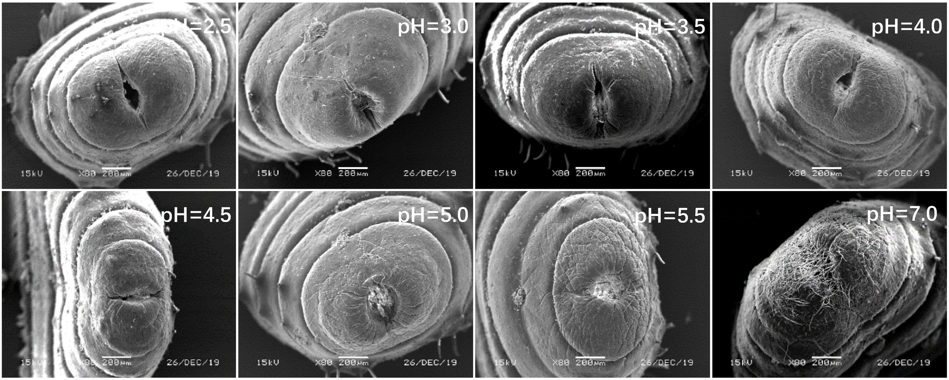 Ijerph 17 07246 g011 Ijerph 17 07246 g011
