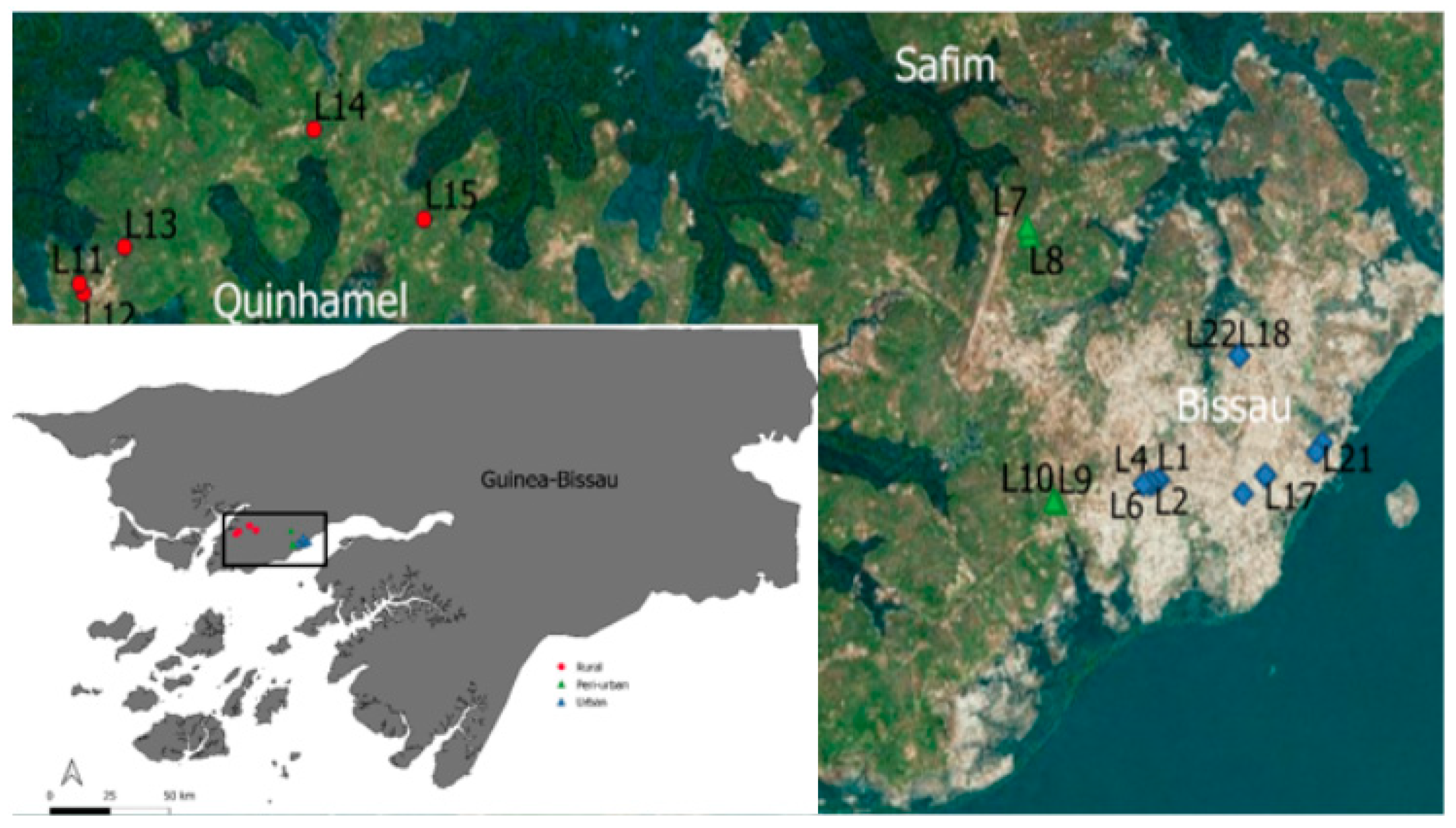 Ijerph 17 07254 g001 Ijerph 17 07254 g001