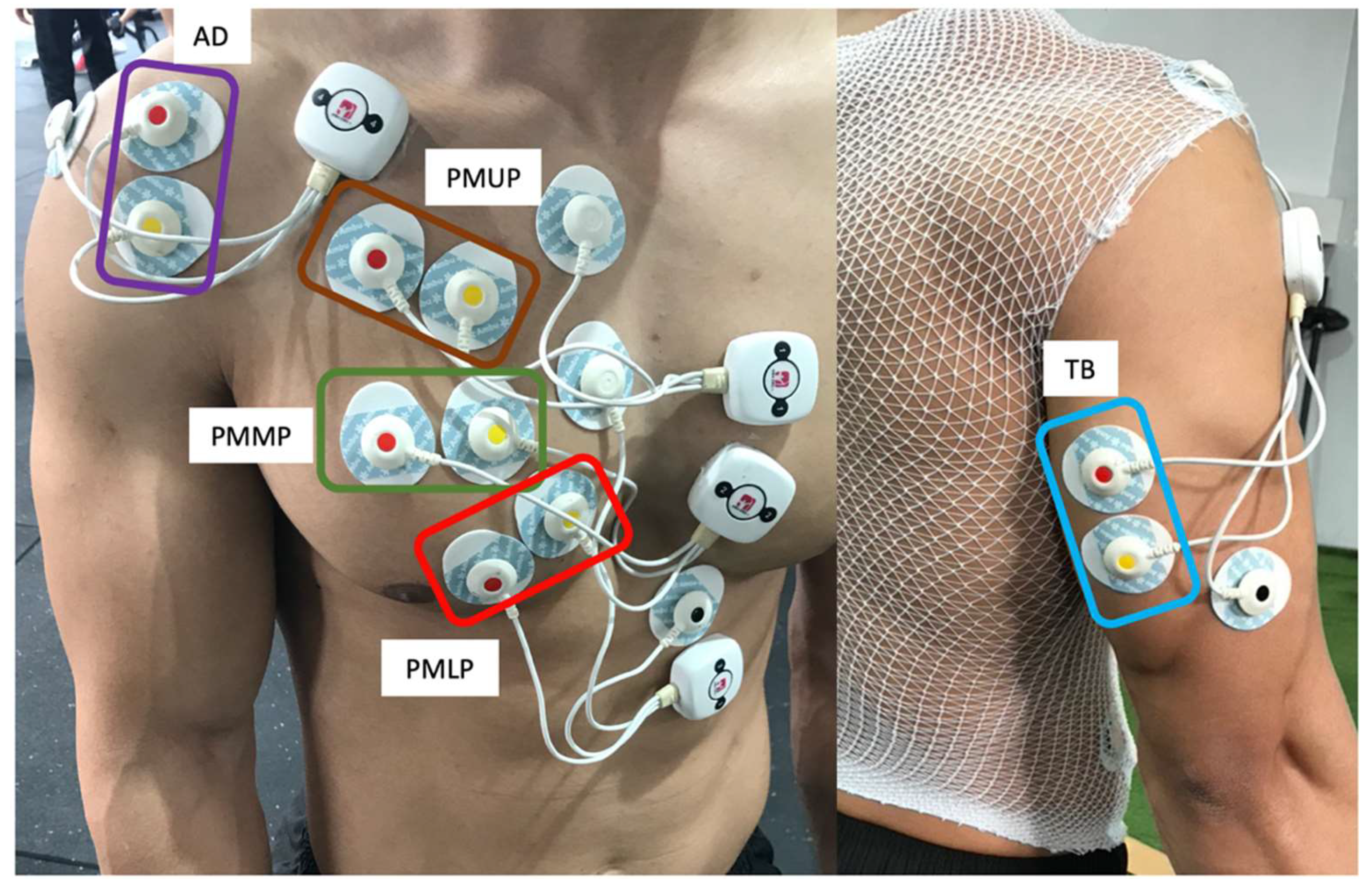 Ijerph 17 07339 g001