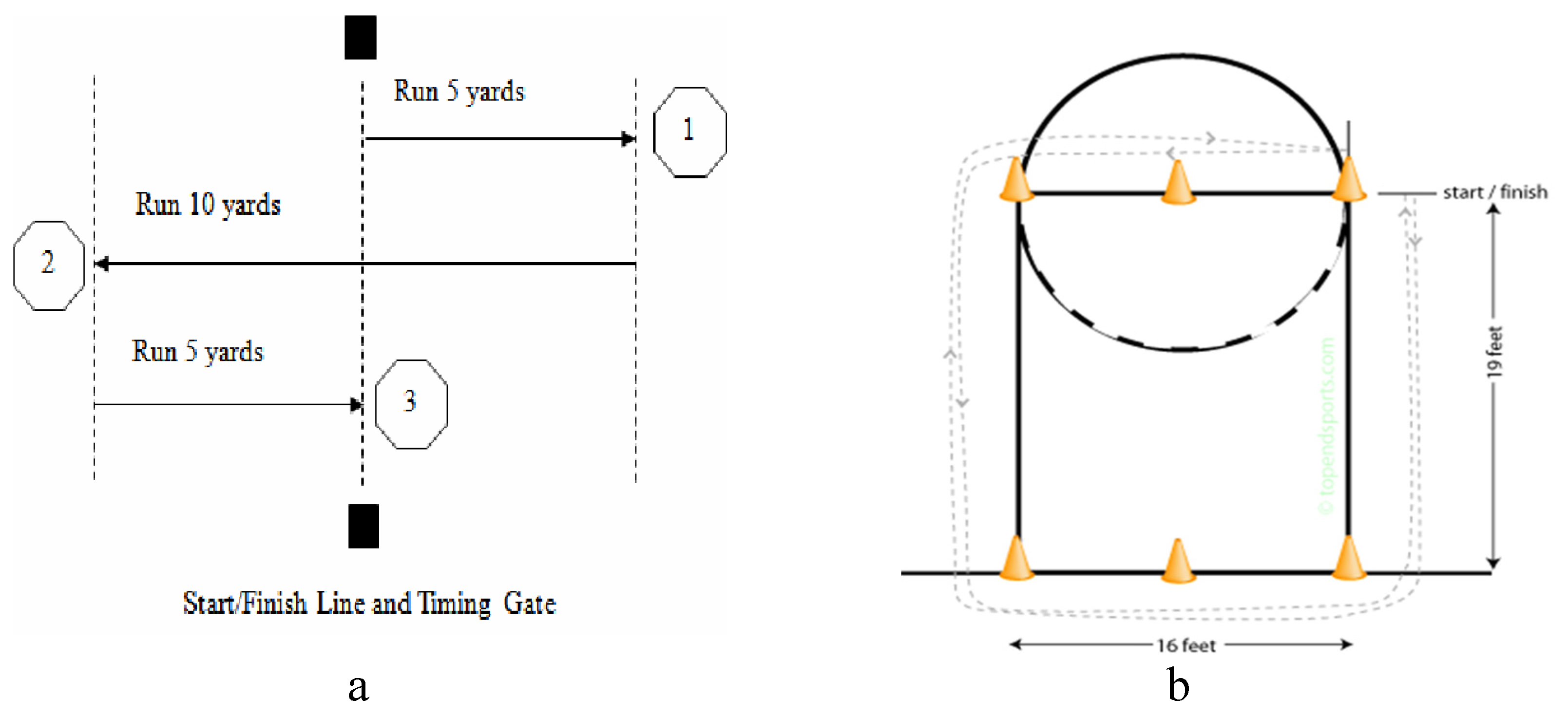 Ijerph 17 07355 g001