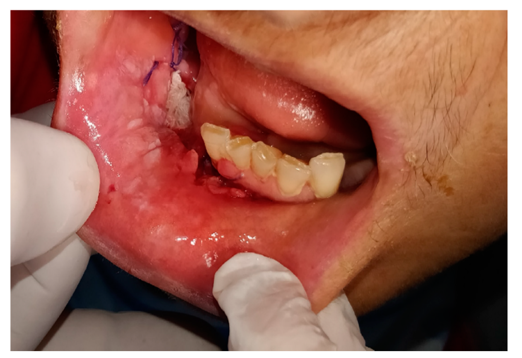 Ijerph 17 07365 g001