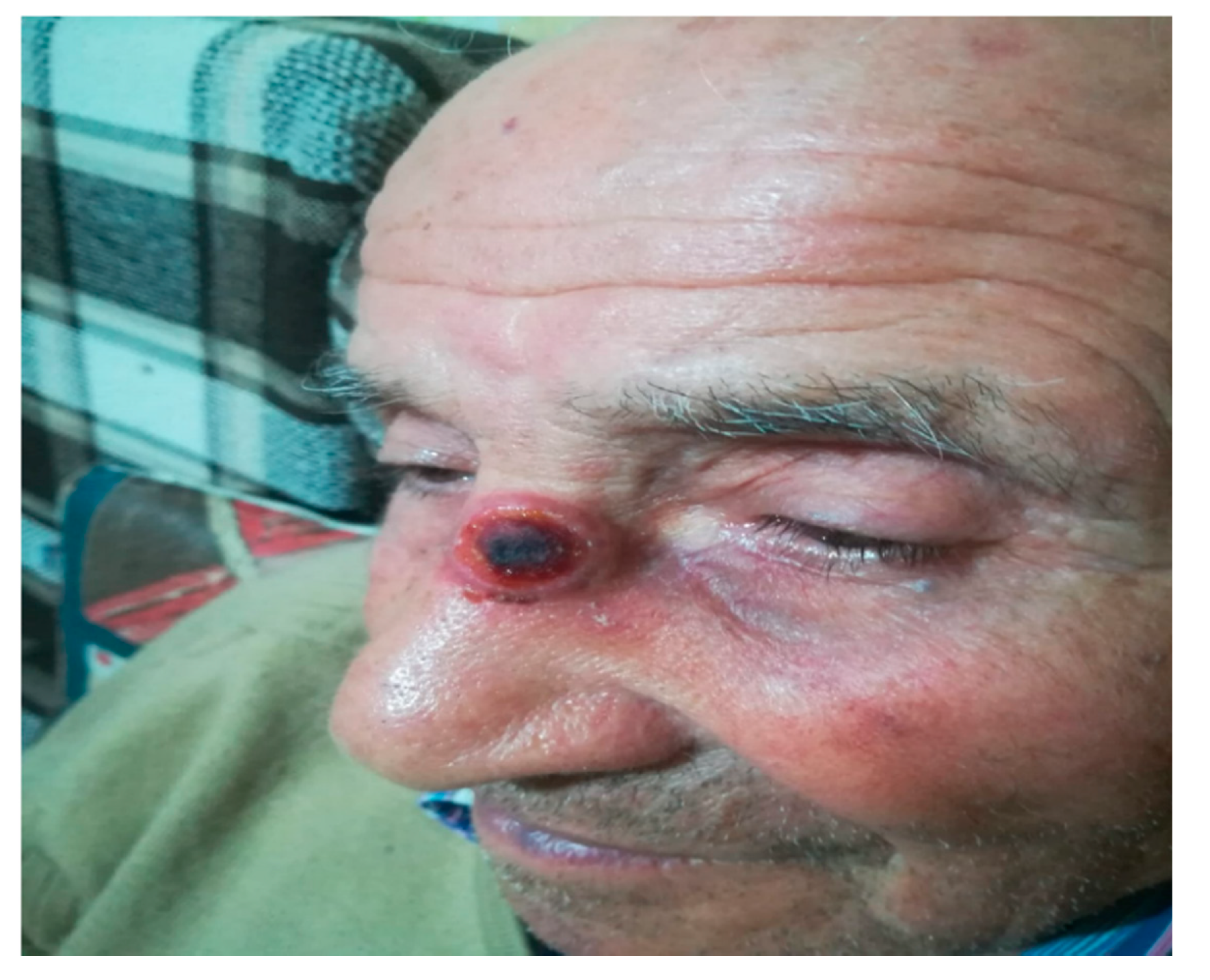 Ijerph 17 07365 g004