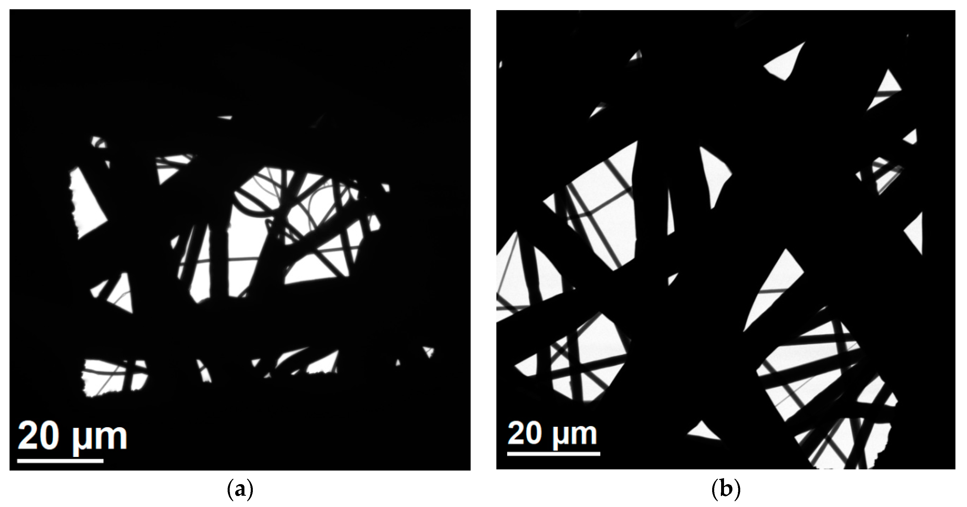 Ijerph 17 07396 g012