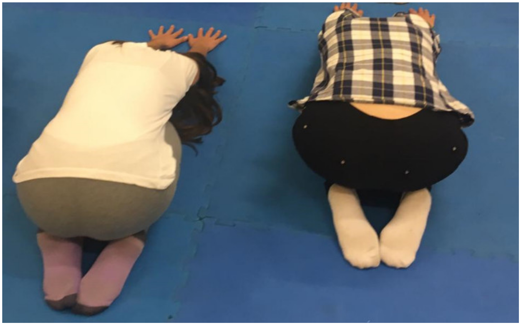 Ijerph 17 07436 g002 Ijerph 17 07436 g002