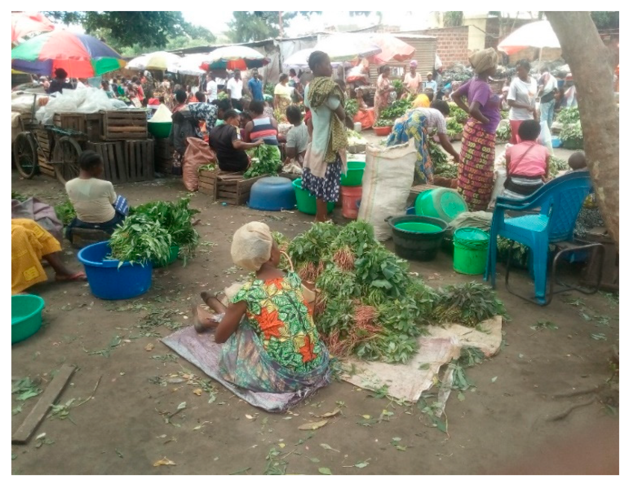 Ijerph 17 07441 g002