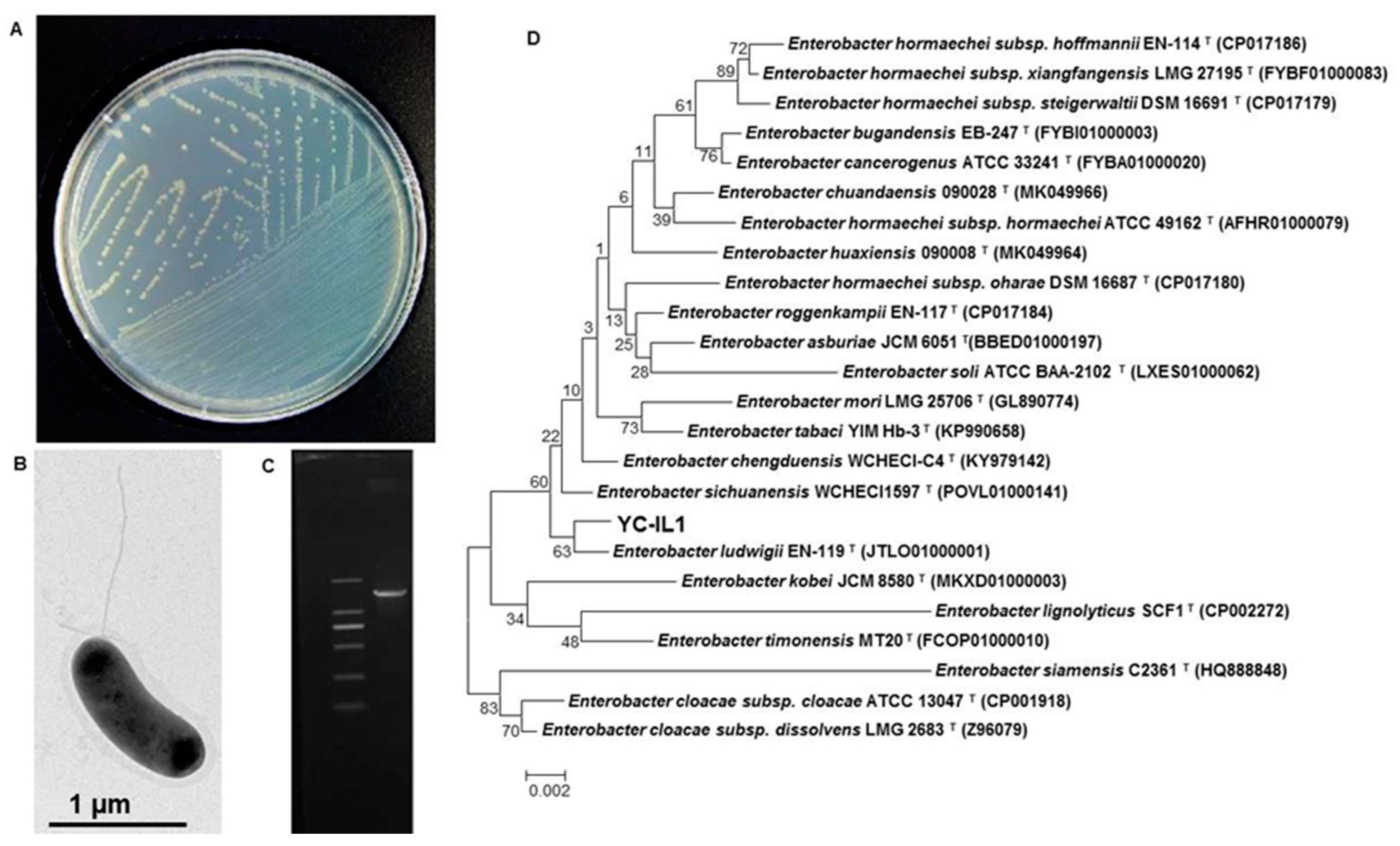 Ijerph 17 07501 g001