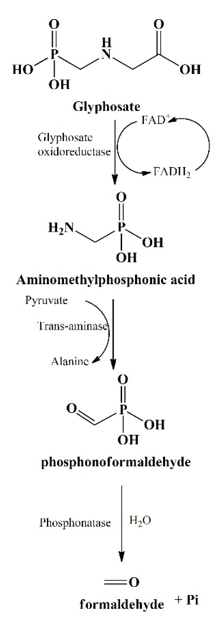 Ijerph 17 07519 g003