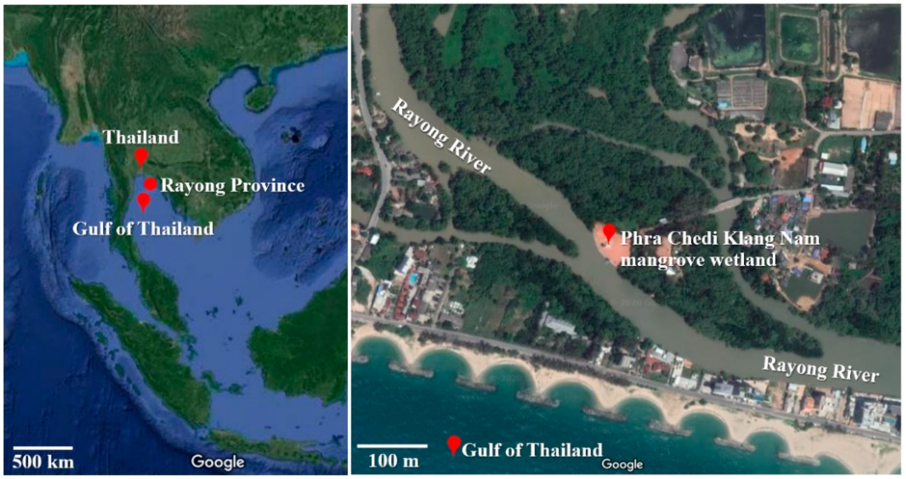 Ijerph 17 07531 g001