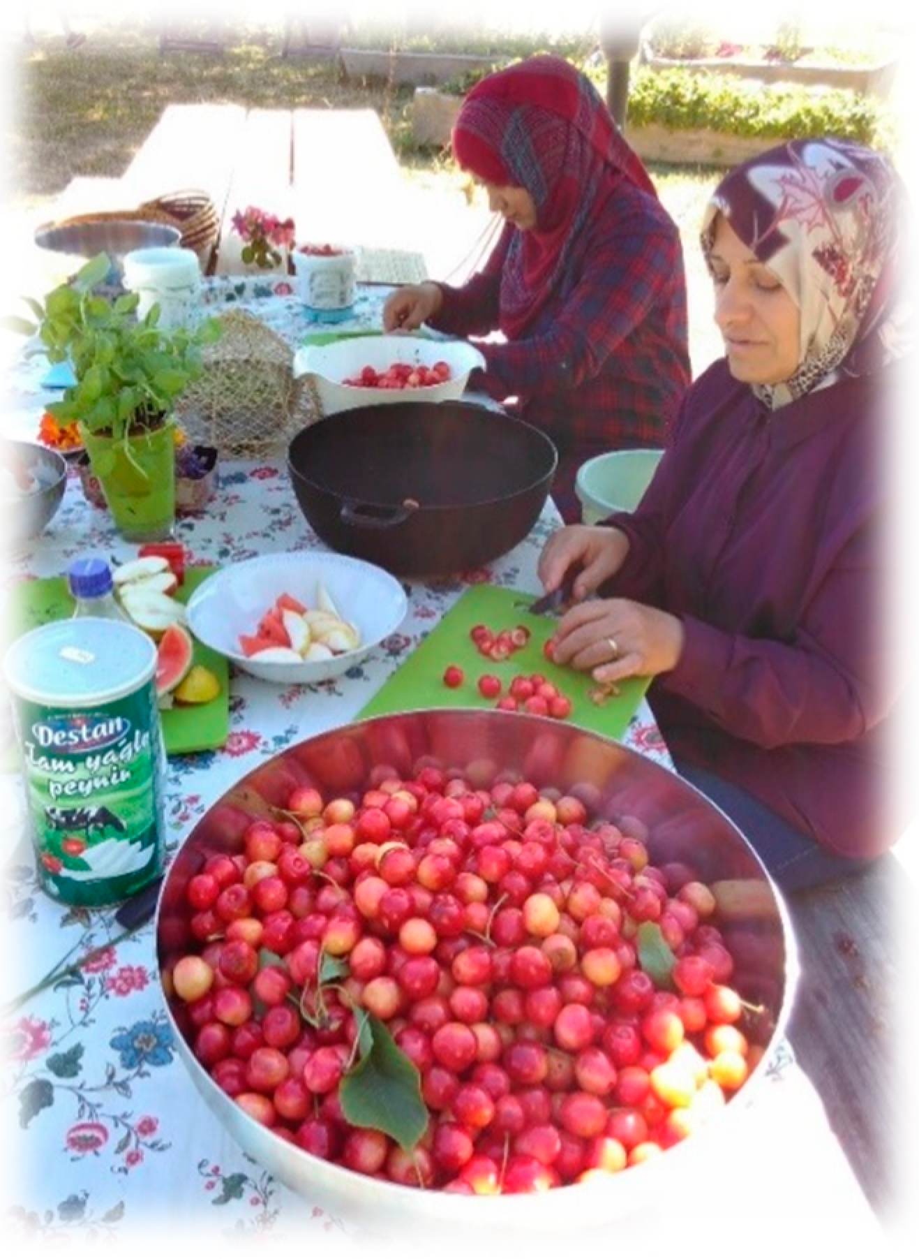 Ijerph 17 07542 g002