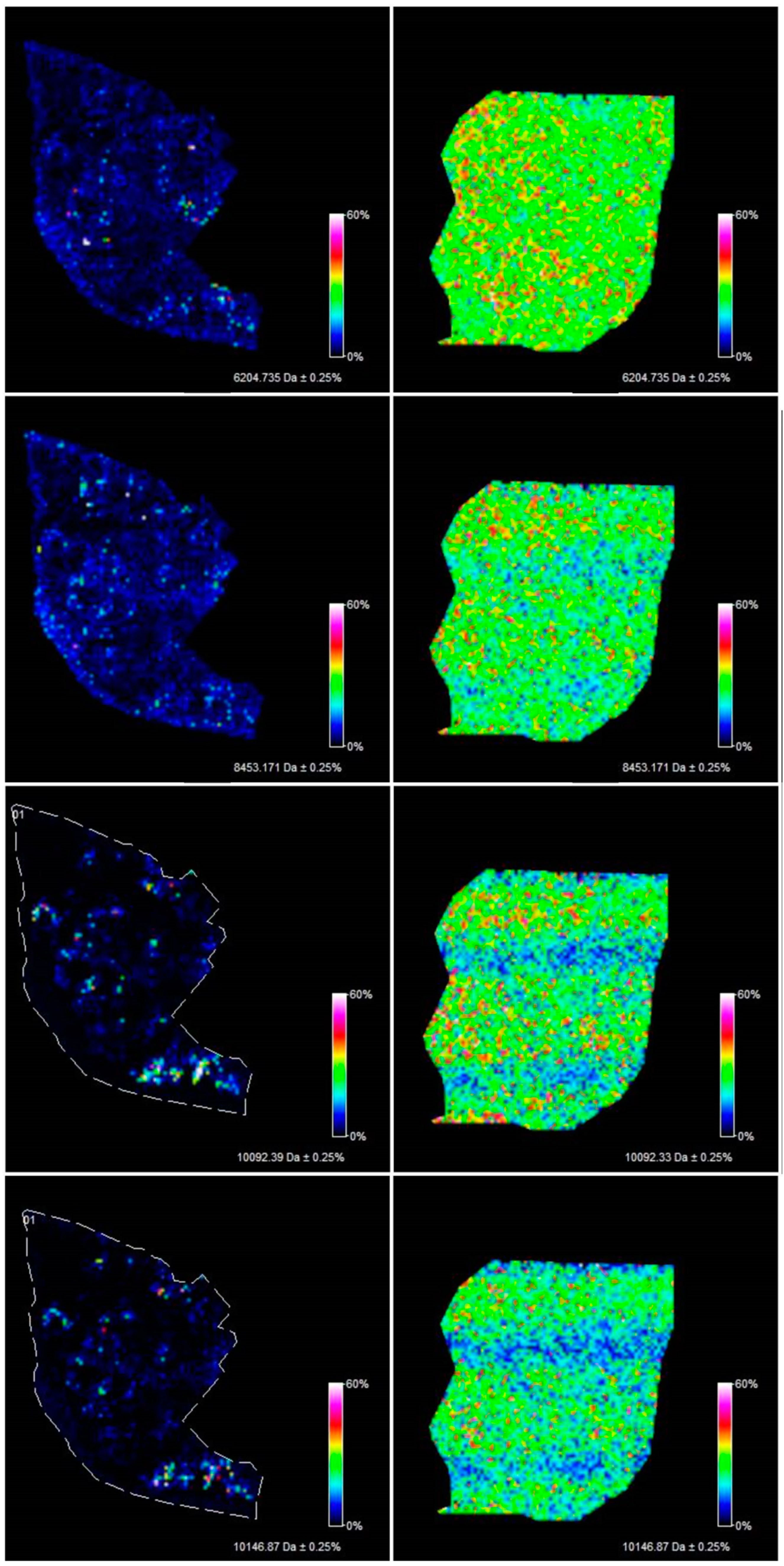 Ijerph 17 07564 g004