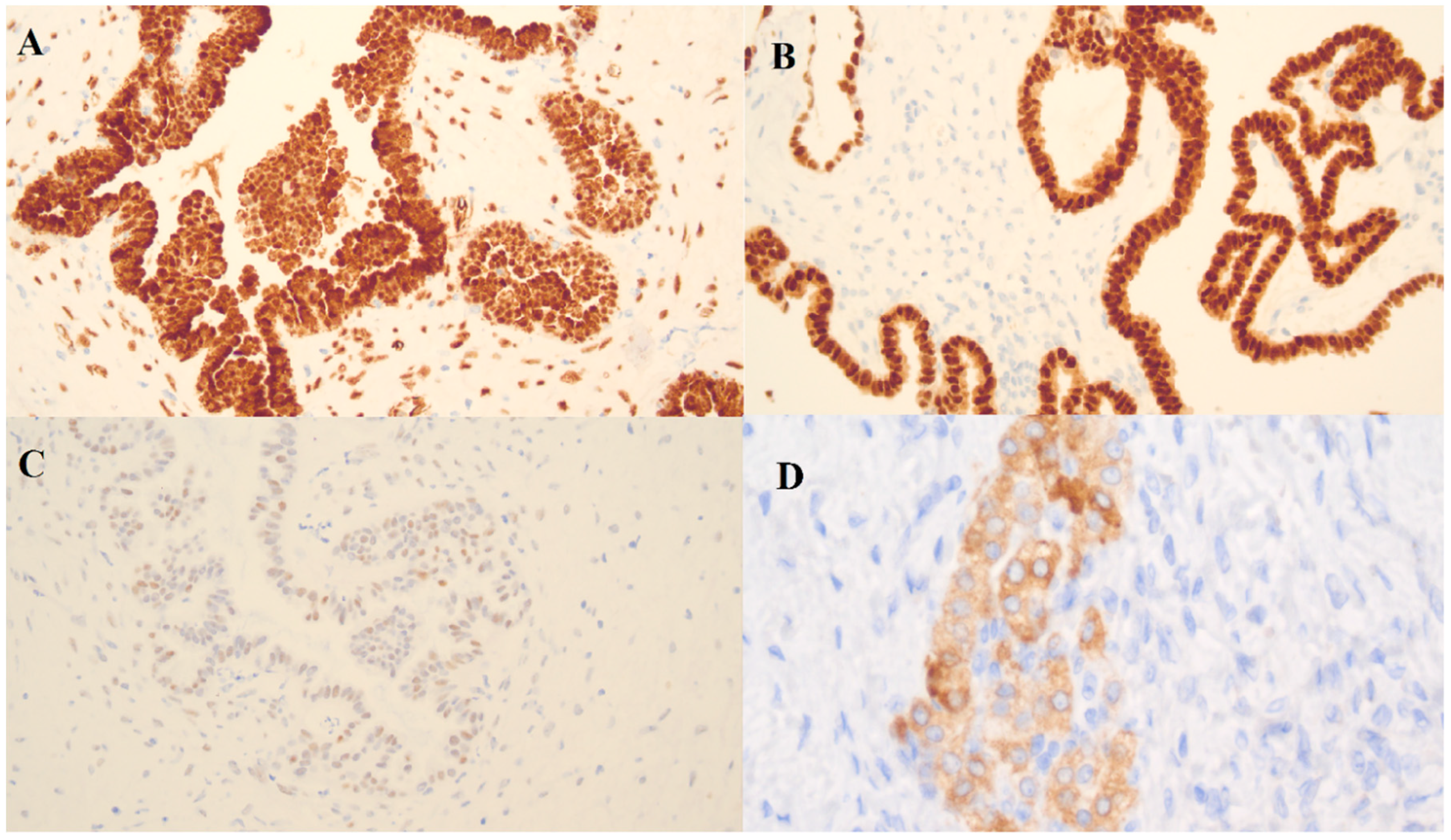 Ijerph 17 07564 g005