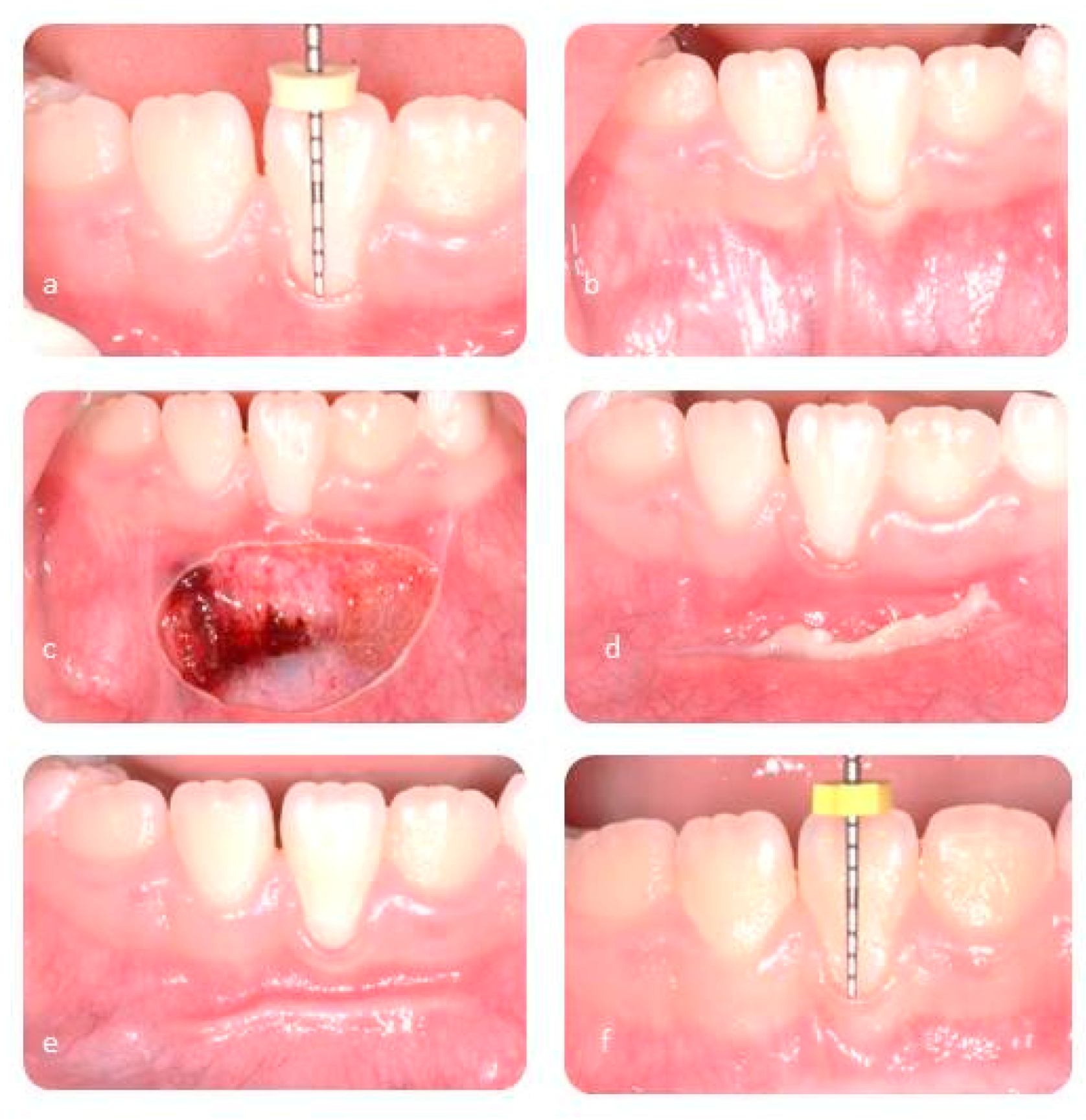 Ijerph 17 07708 g002 Ijerph 17 07708 g002