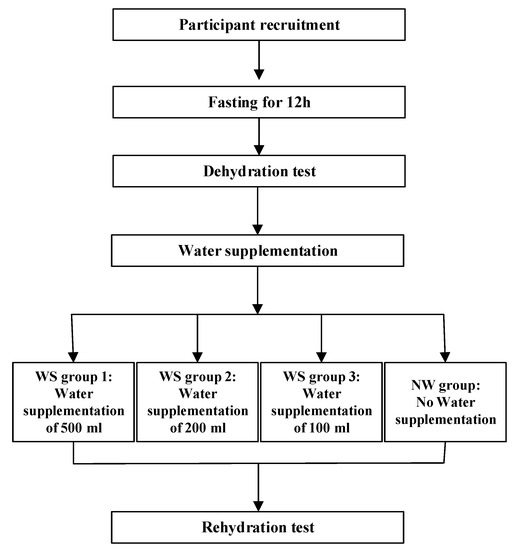 Different Amounts of Water Supplementation Improved Cognitive 