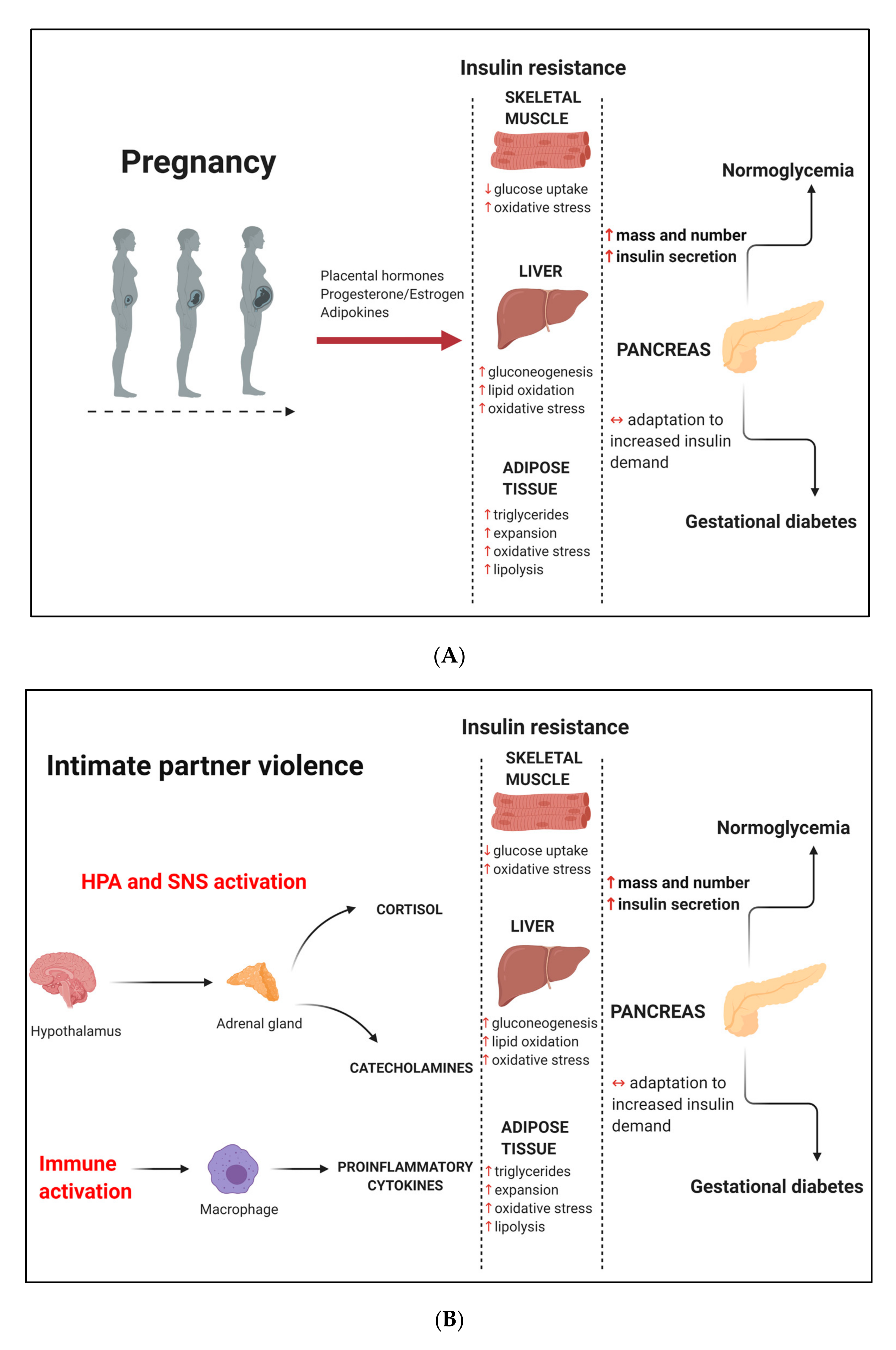 Ijerph 17 07843 g001a