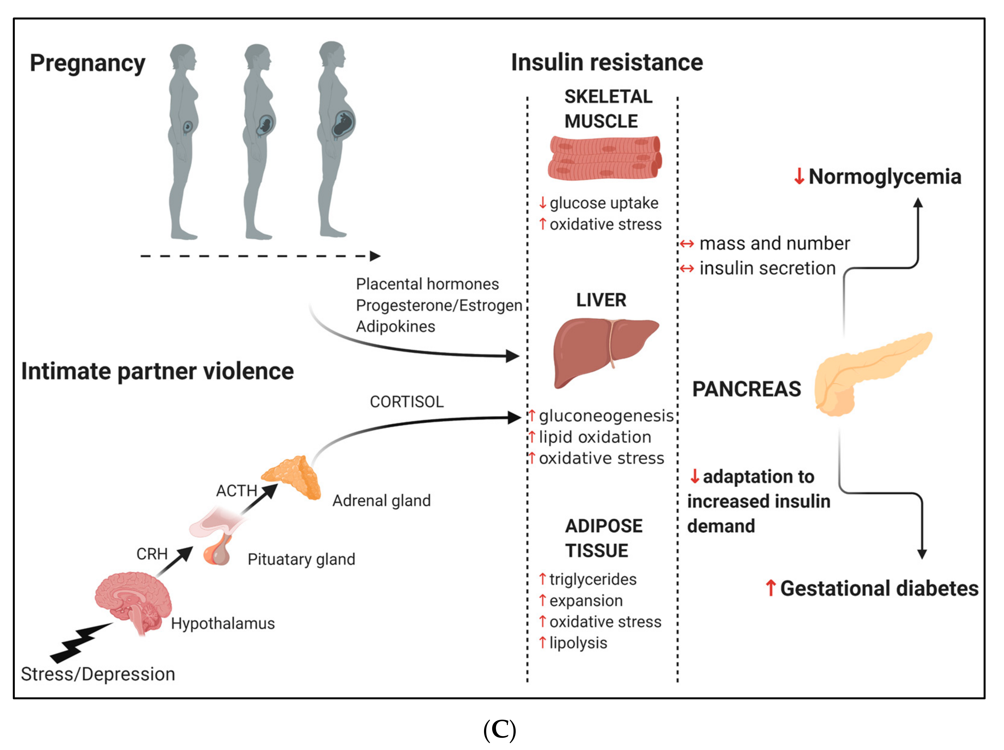 Ijerph 17 07843 g001b