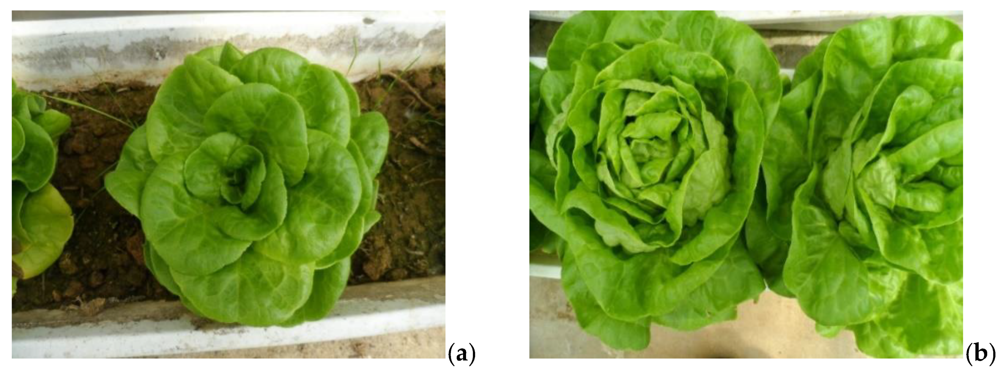 Ijerph 17 07861 g001 Ijerph 17 07861 g001