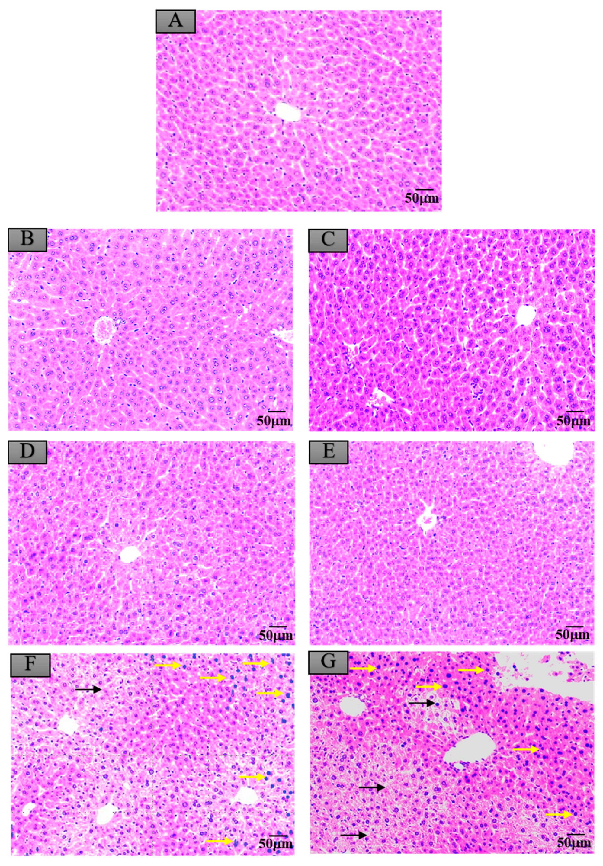 Ijerph 17 07882 g004