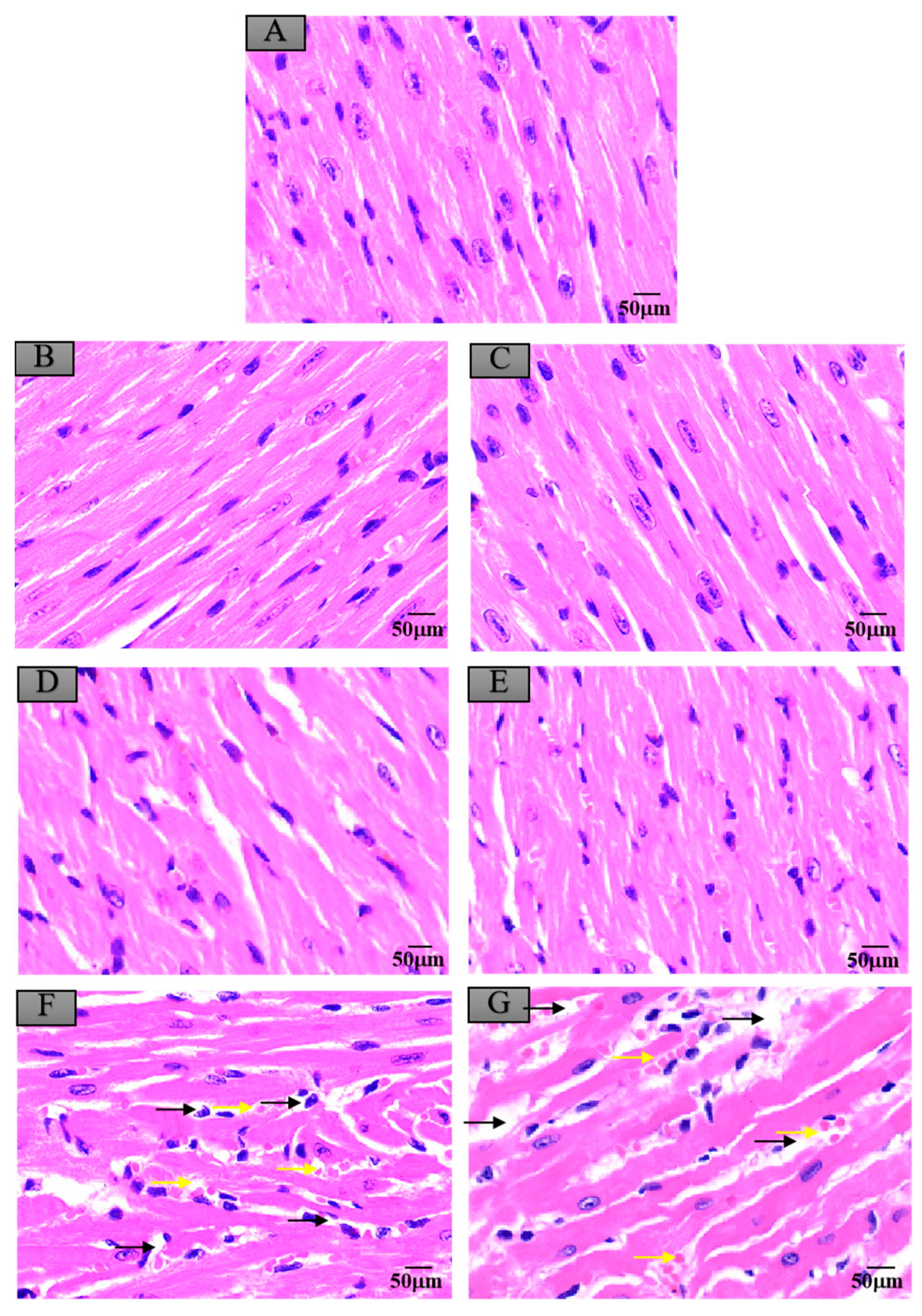 Ijerph 17 07882 g006