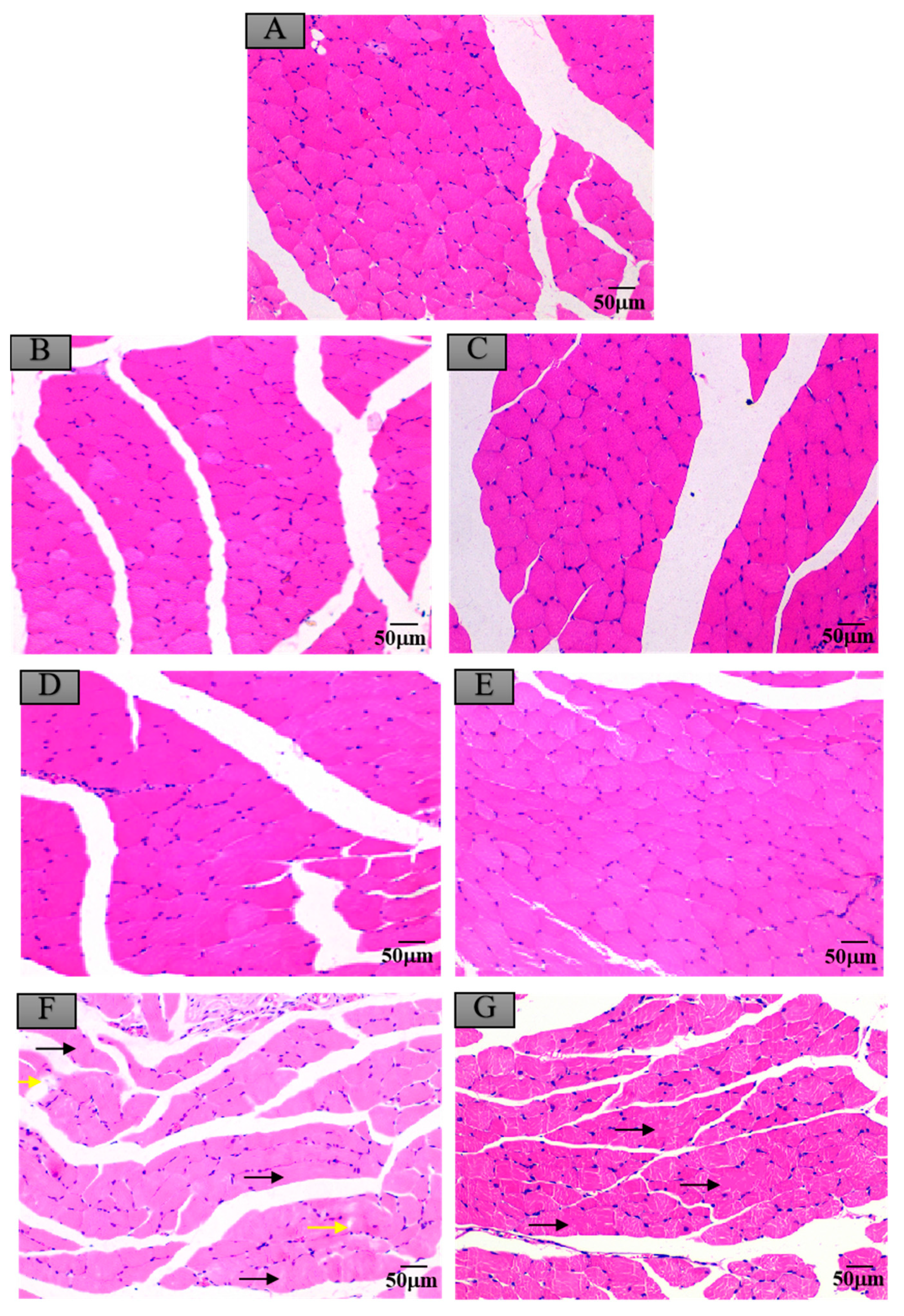 Ijerph 17 07882 g007