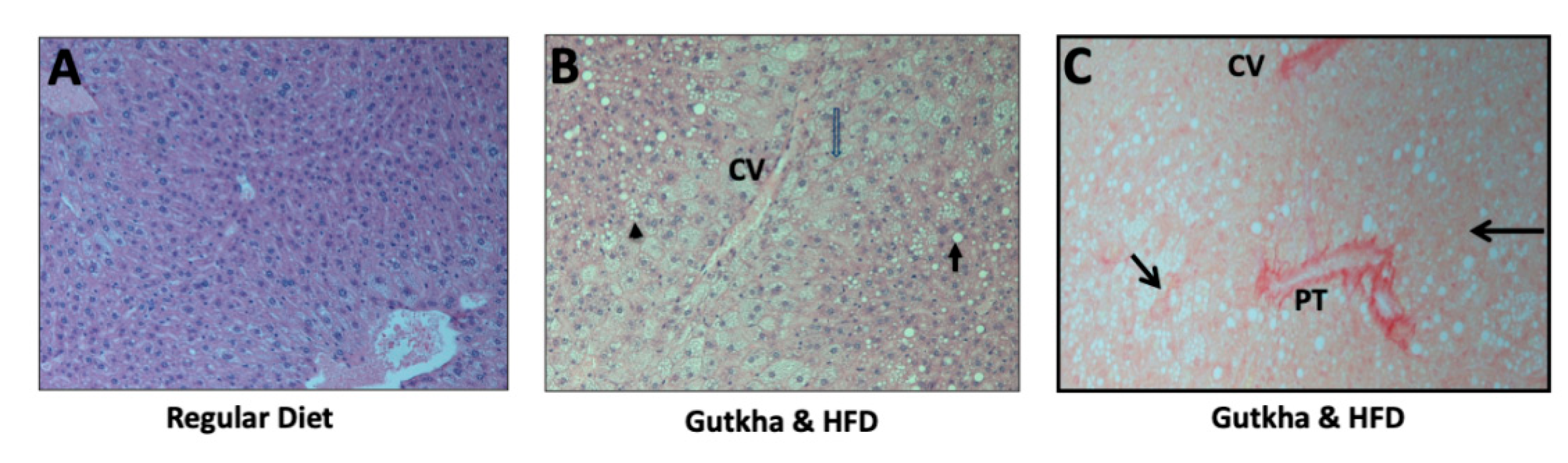 Ijerph 17 07895 g003 Ijerph 17 07895 g003