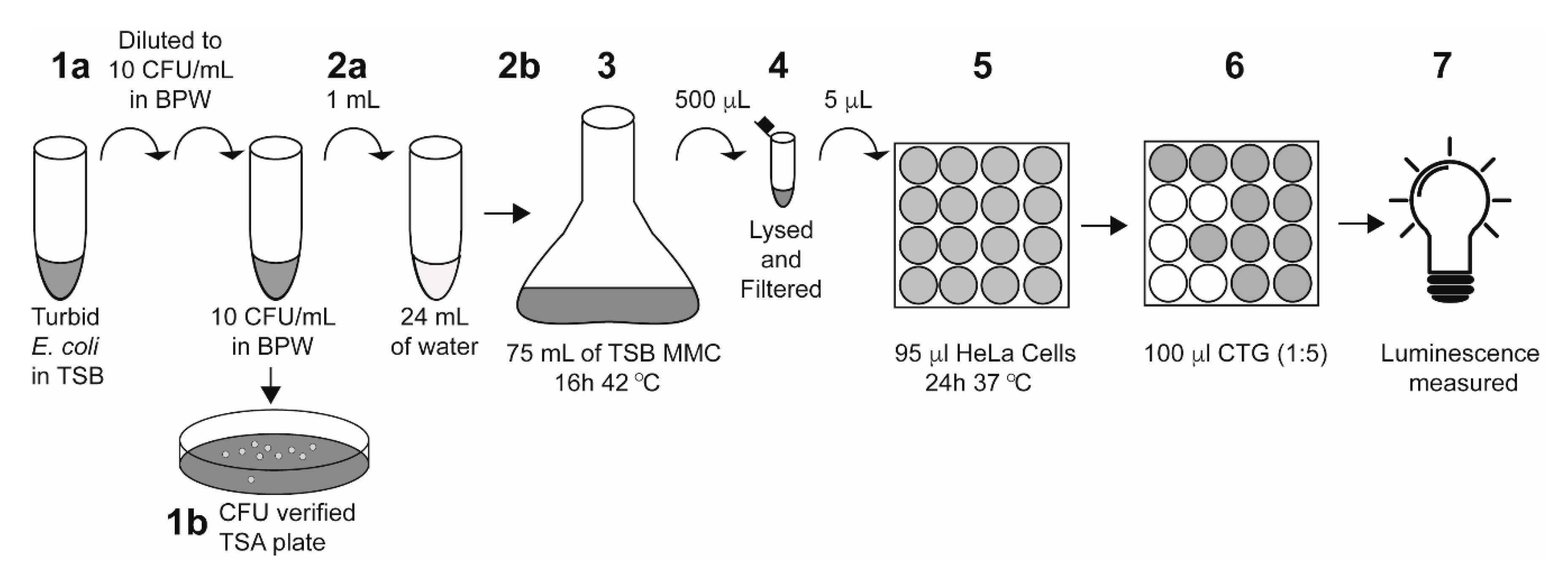 Ijerph 17 07901 g001
