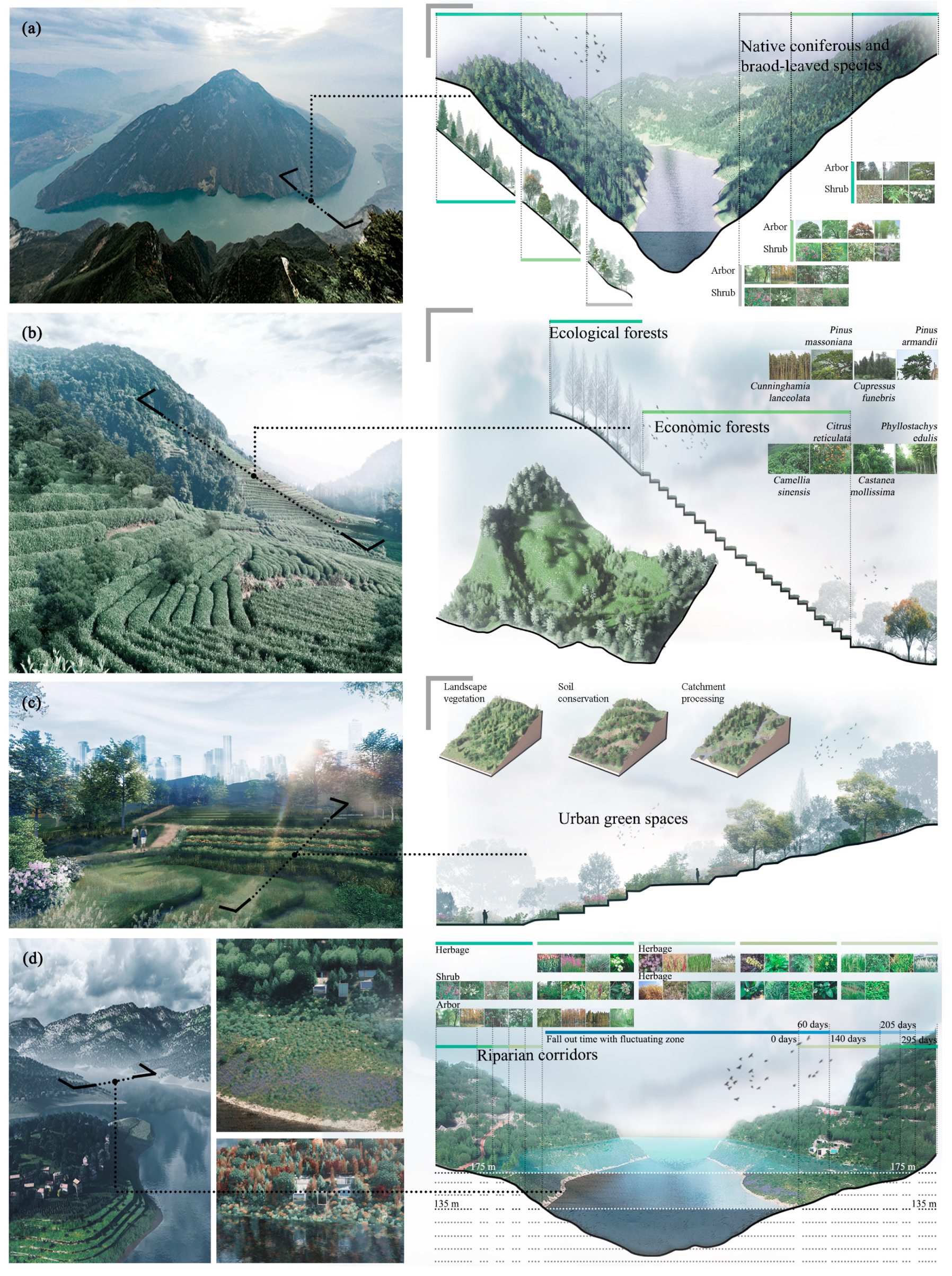 Ijerph 17 08077 g008 Ijerph 17 08077 g008