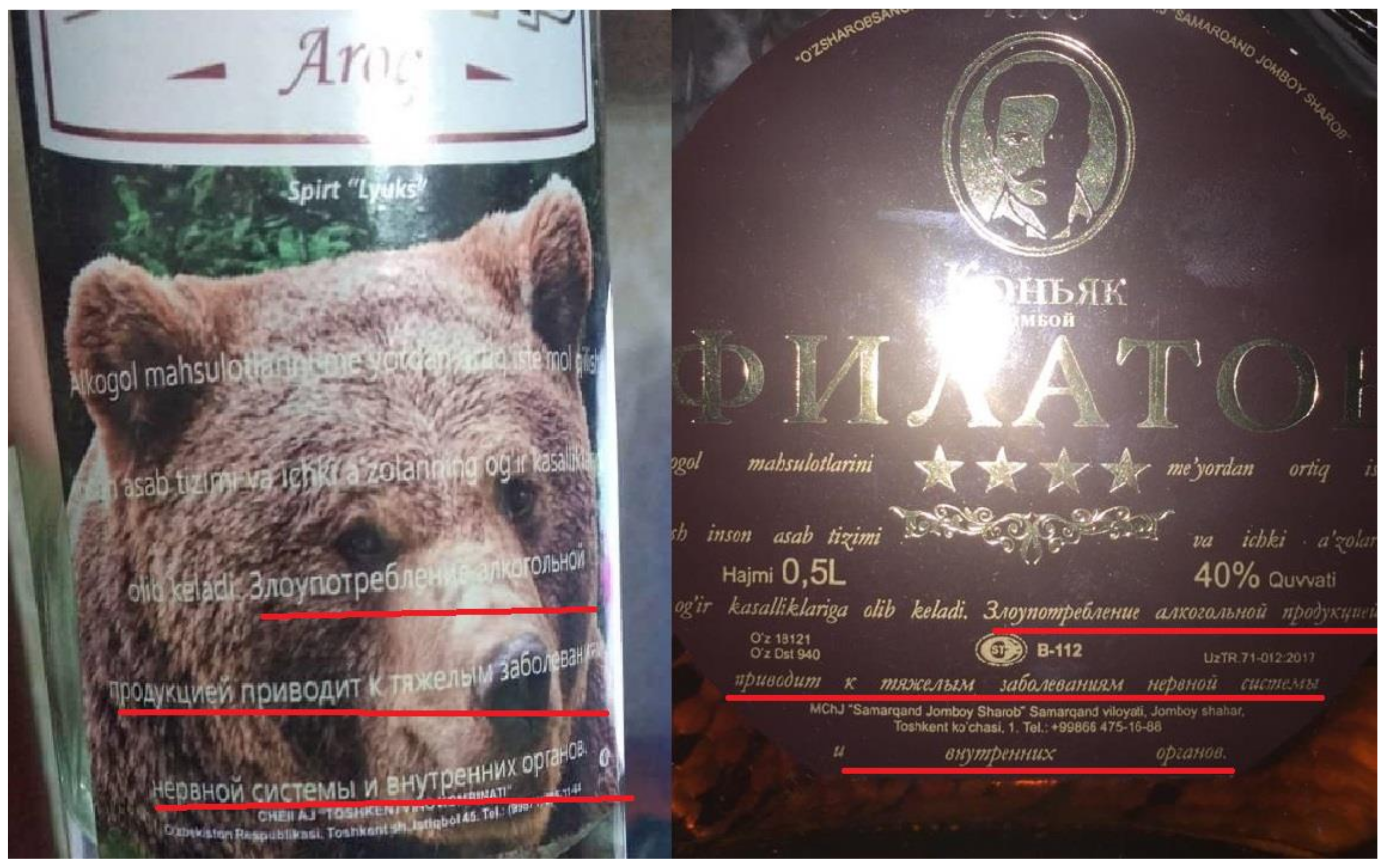 Ijerph 17 08205 g004