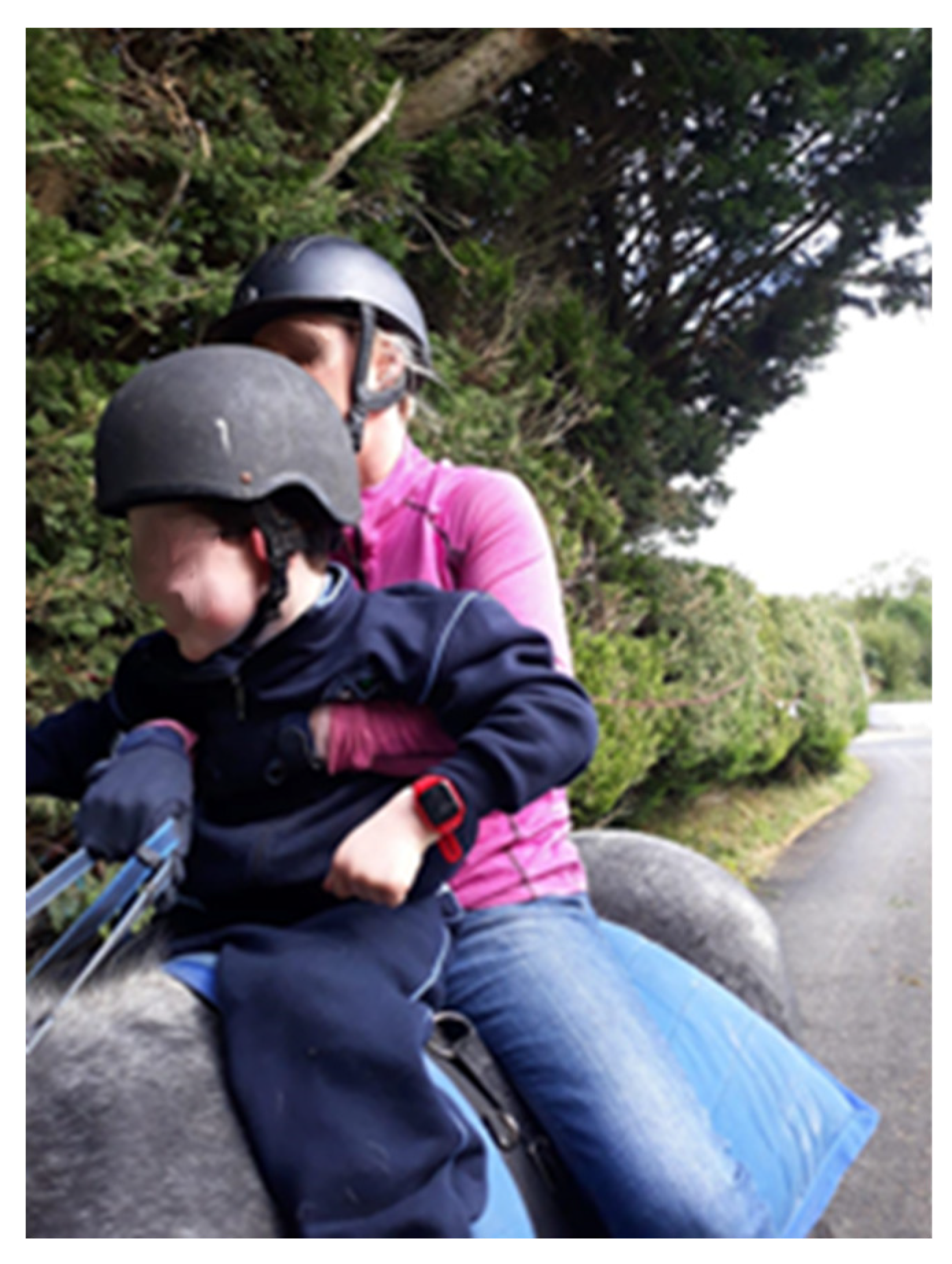 Ijerph 17 08316 g006 Ijerph 17 08316 g006