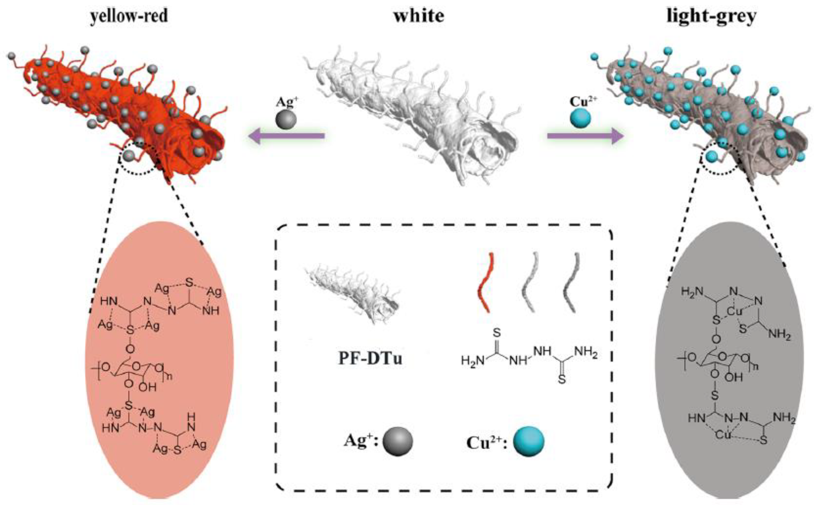 Ijerph 17 08331 g005 Ijerph 17 08331 g005