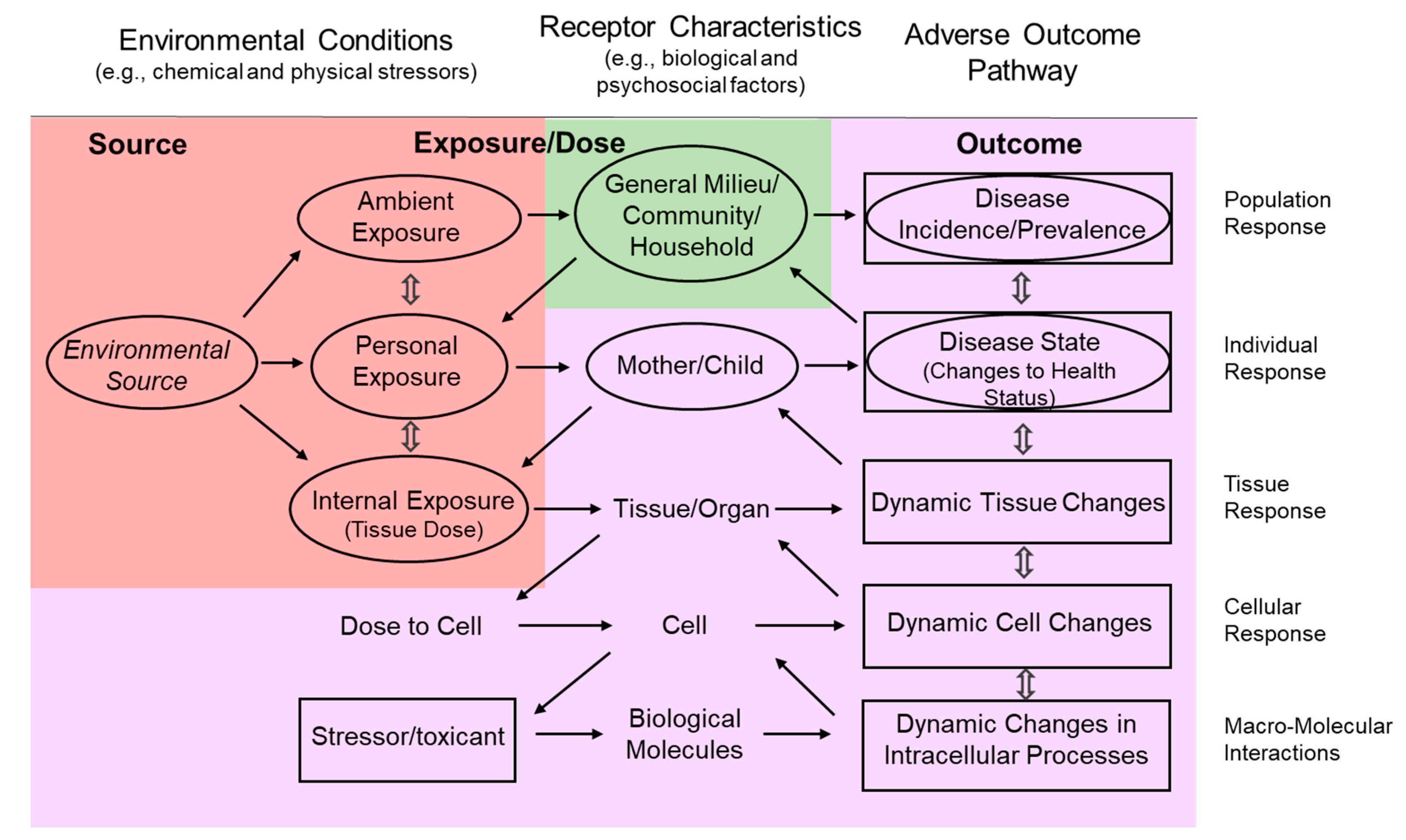Ijerph 17 08337 g001