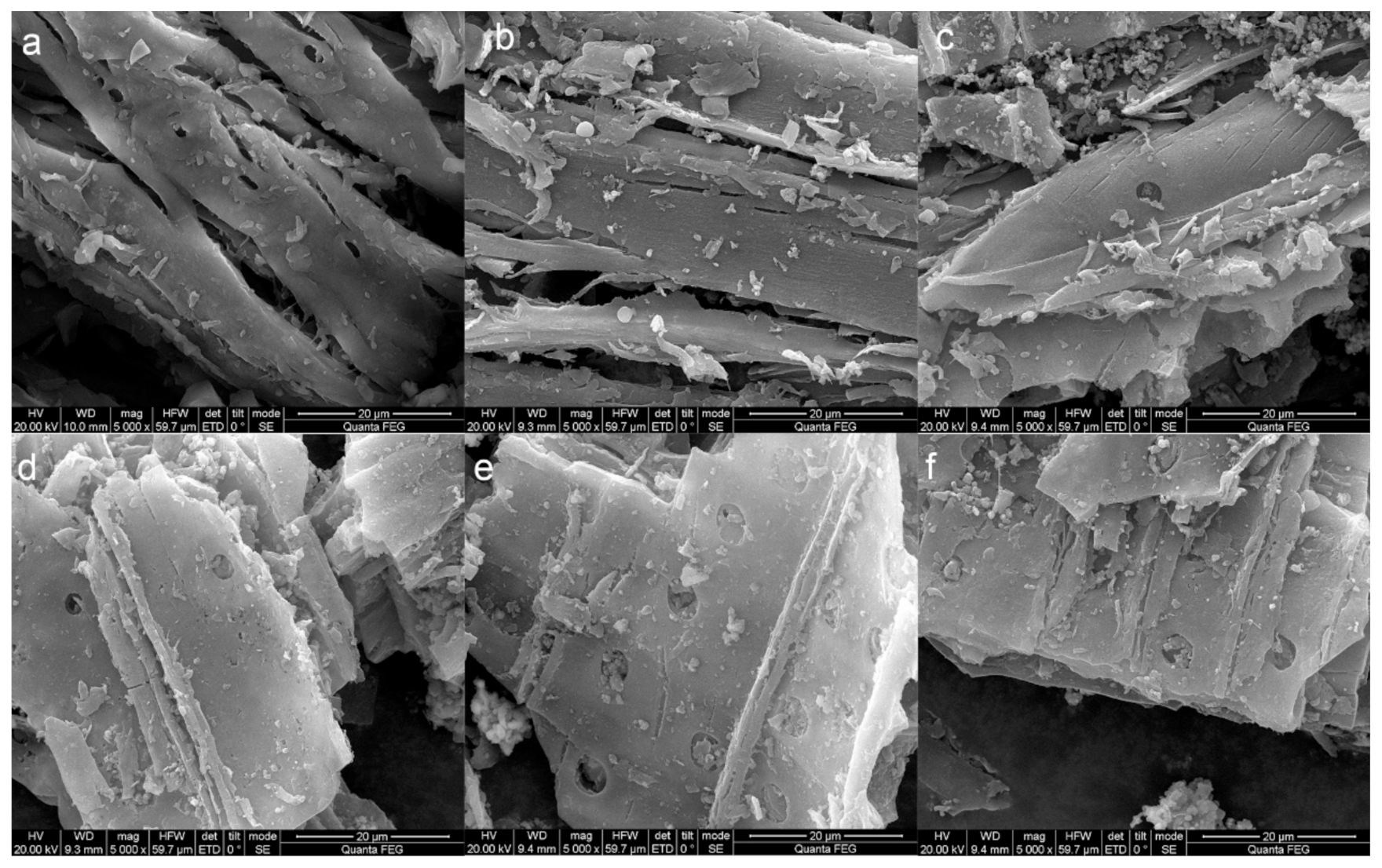 Ijerph 17 08377 g001 Ijerph 17 08377 g001